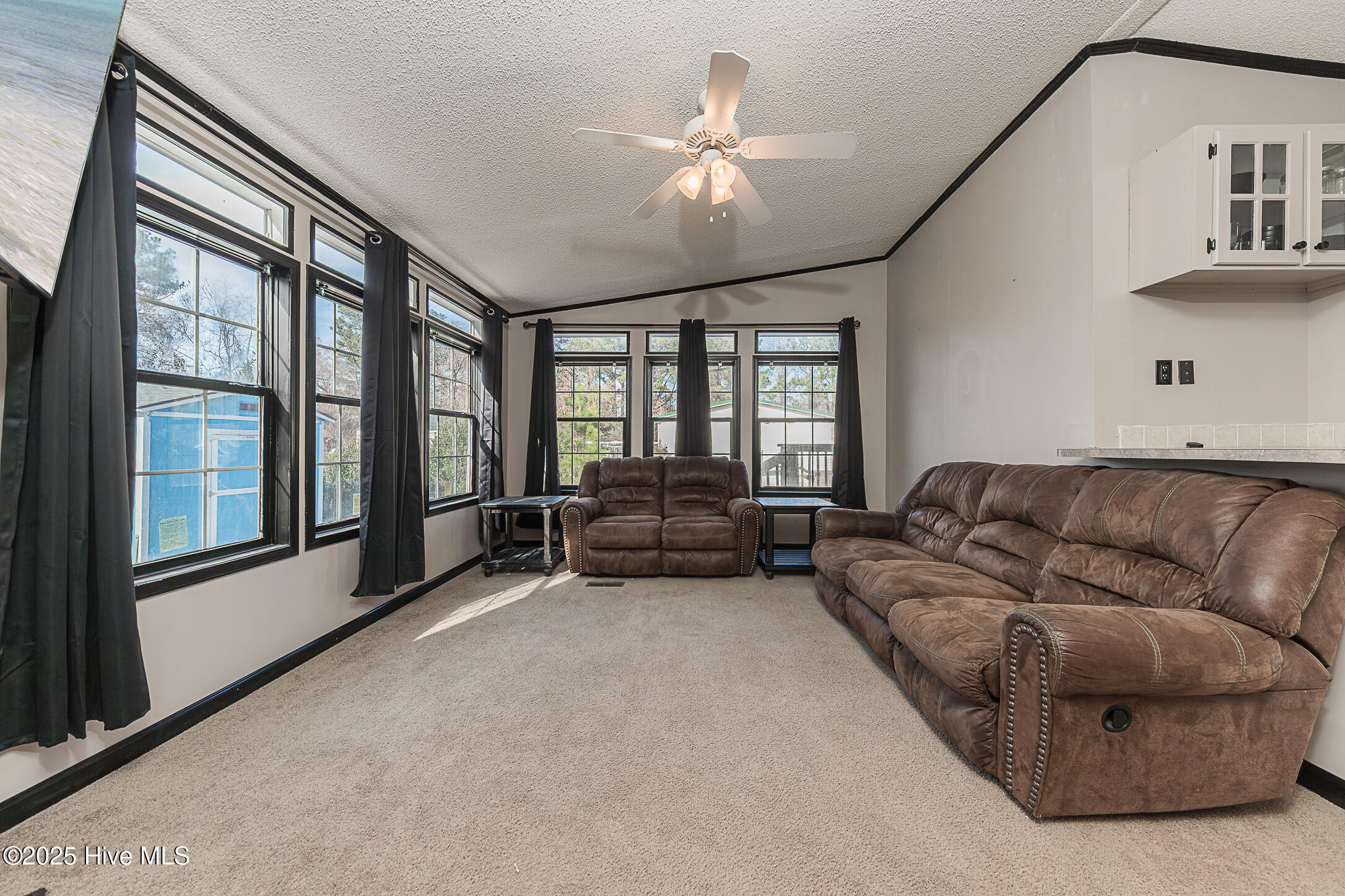 100546784 | Photo 24