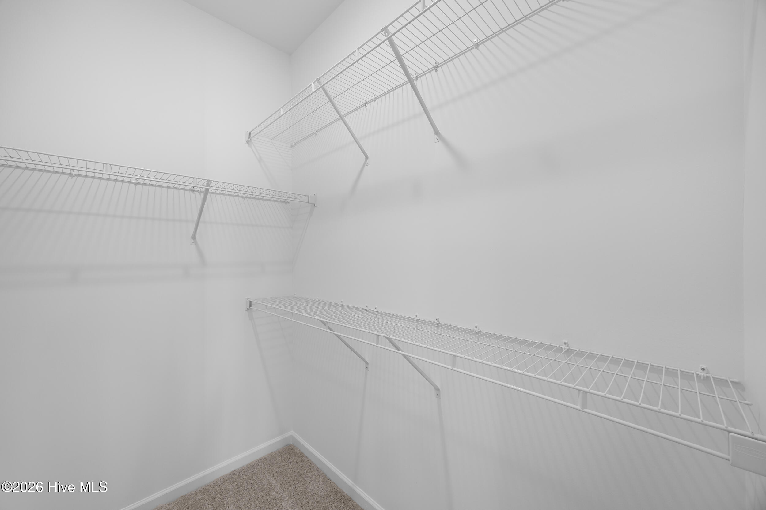 100556488 | Photo 23