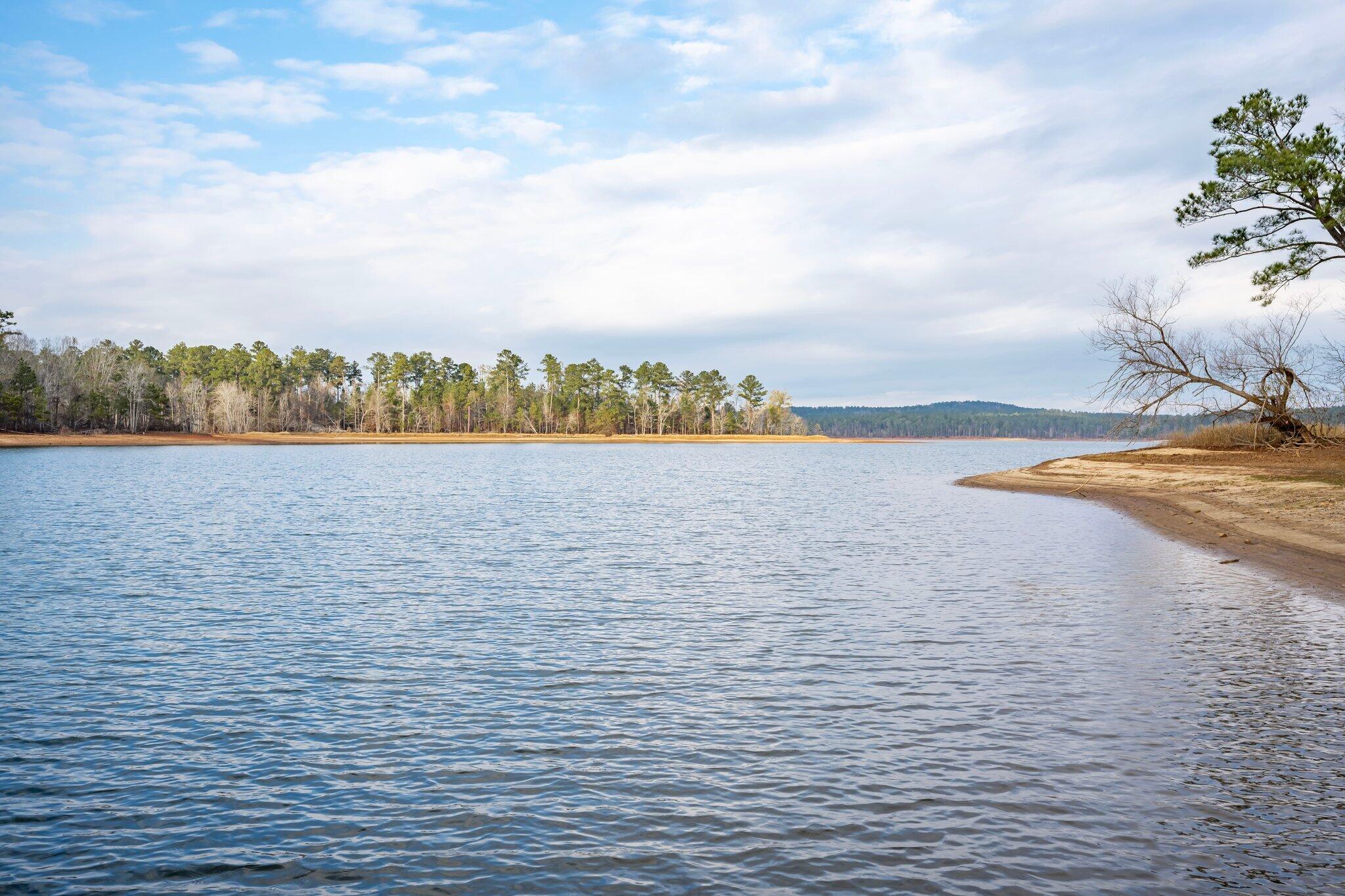 Homes for sale in Lincolnton, GA | 1155 Maiden Cane Way, Lincolnton, GA 30817 | MLS# 549993