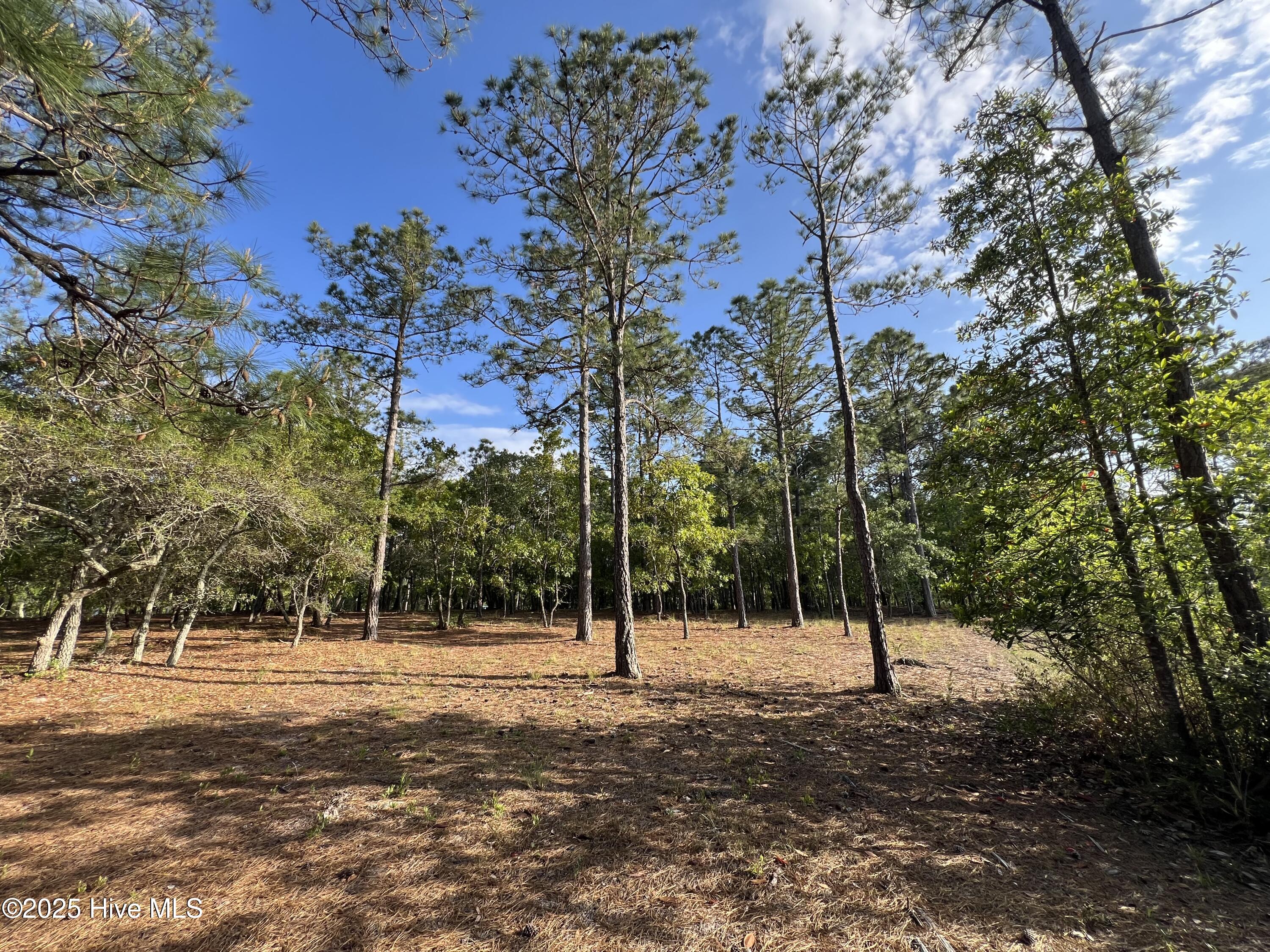 100506027 | Photo 38