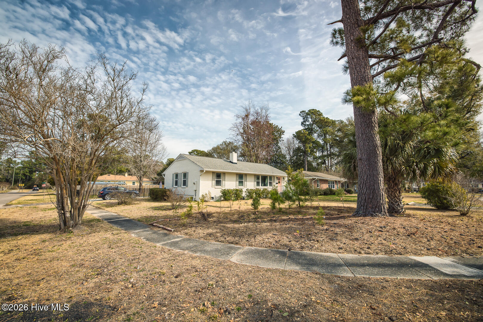 100556956 | Photo 80