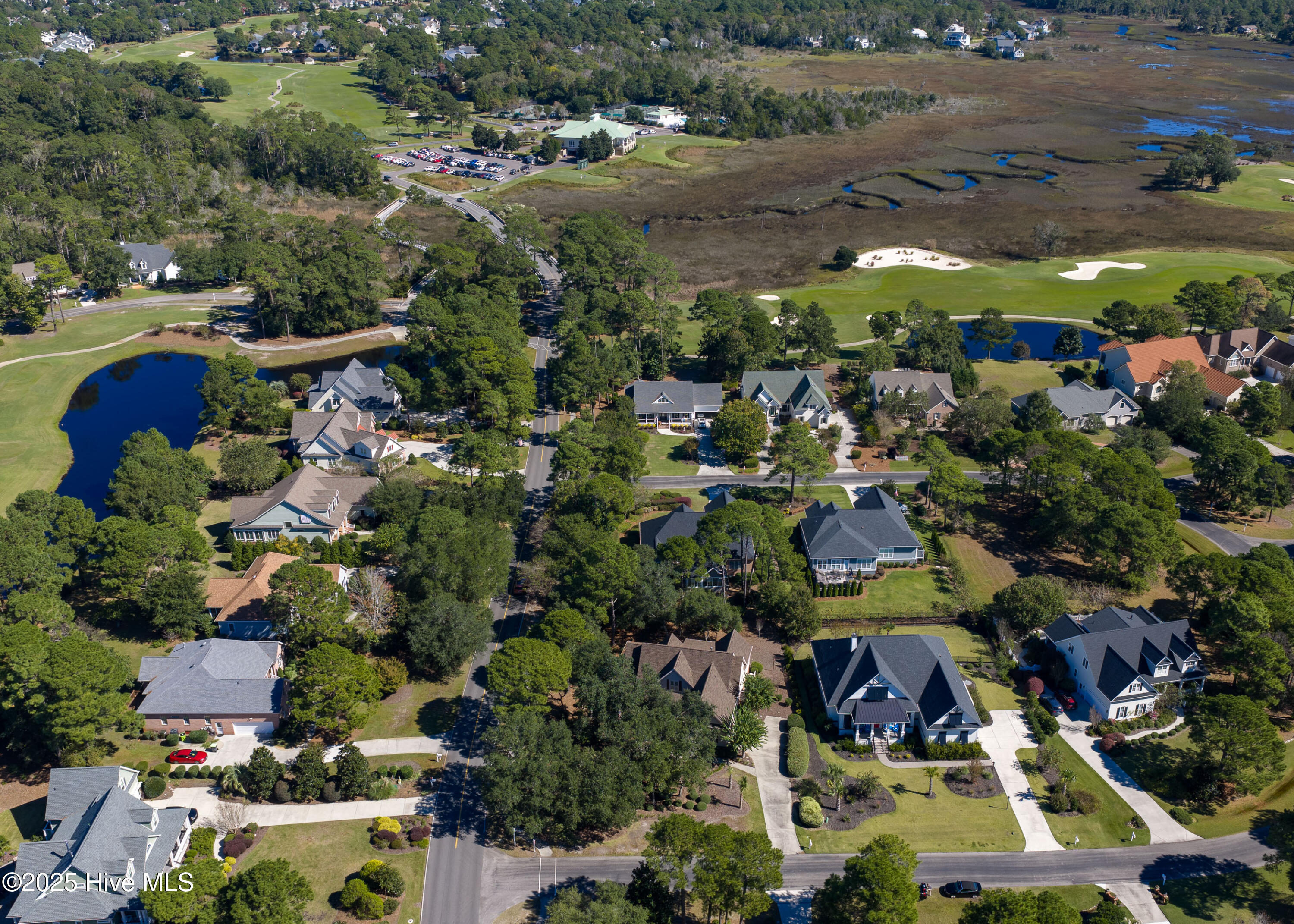 100535397 | Photo 58