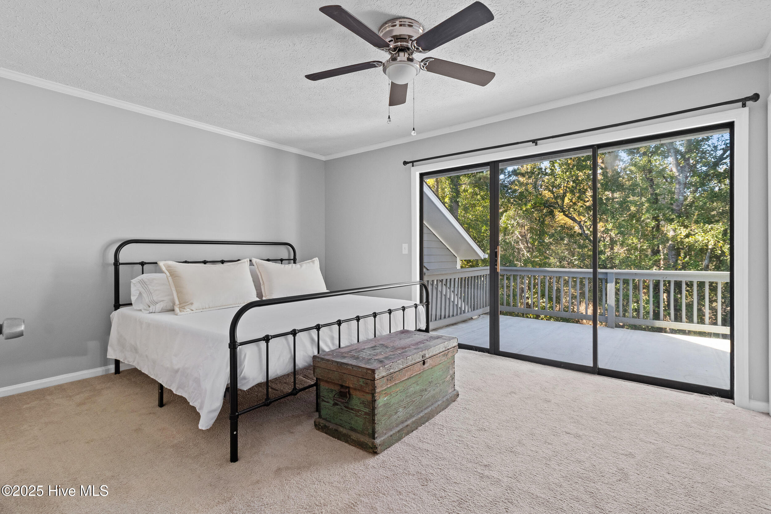 100537542 | Photo 15