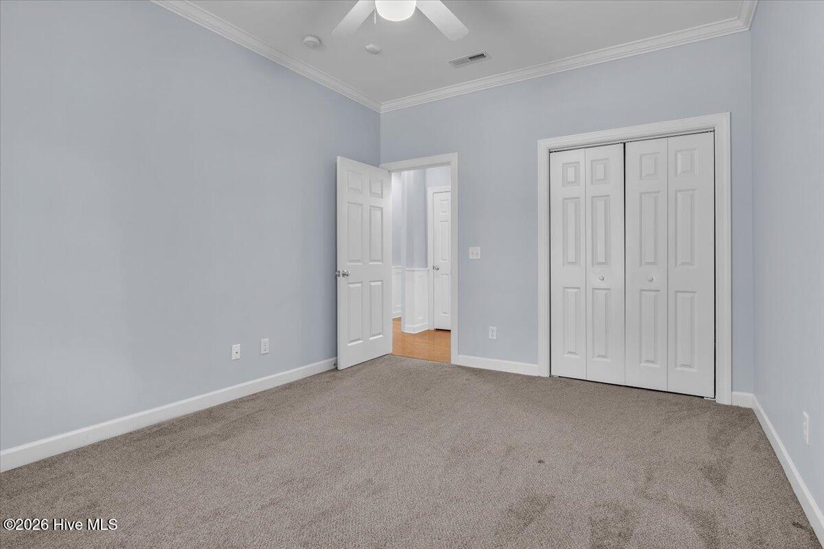 100547572 | Photo 33