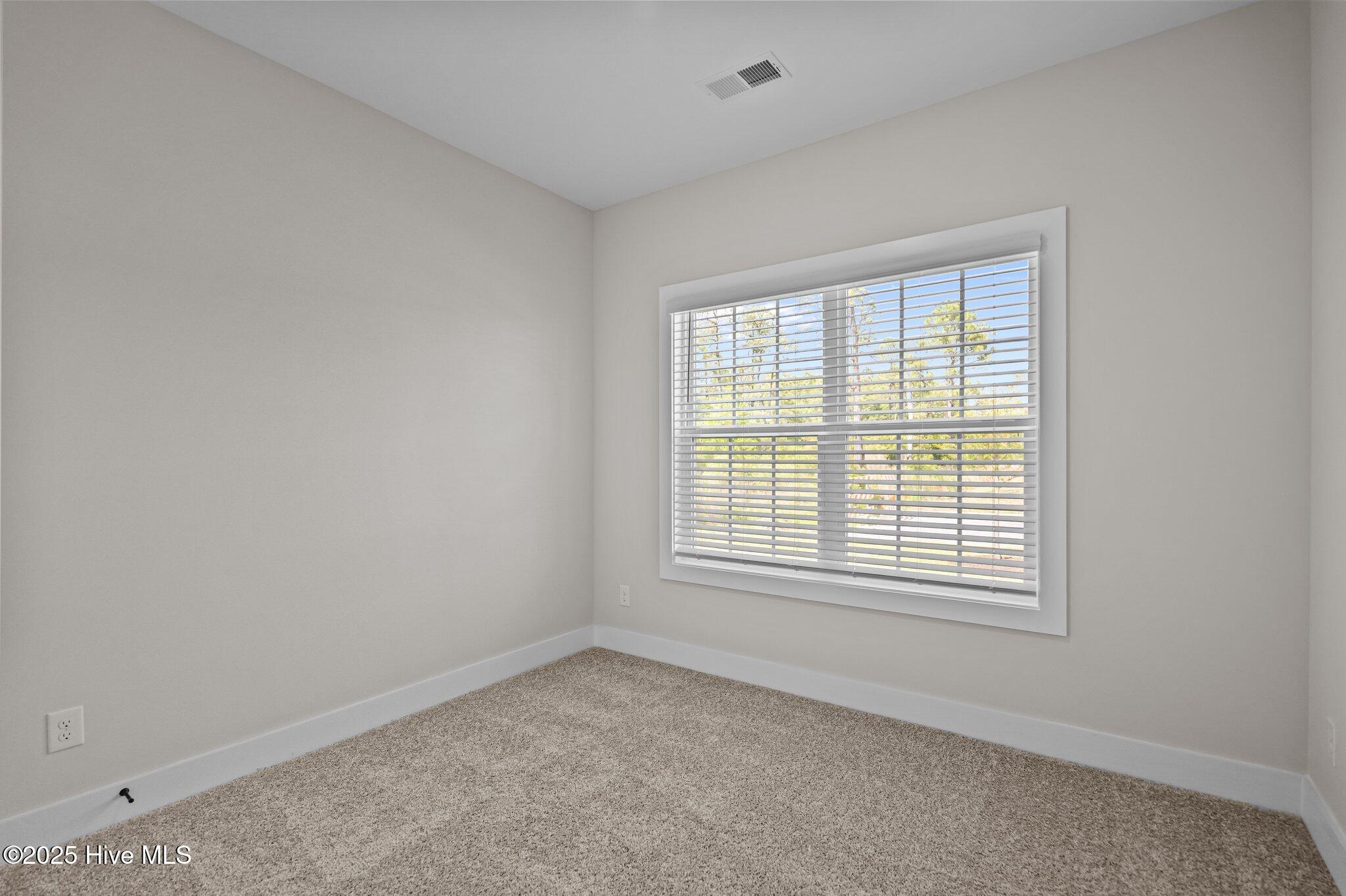 37 S Umbrella Palm Dr Drive, Hampstead, NC 28443 – photo 2: 2-web-or-mls-DSC01800