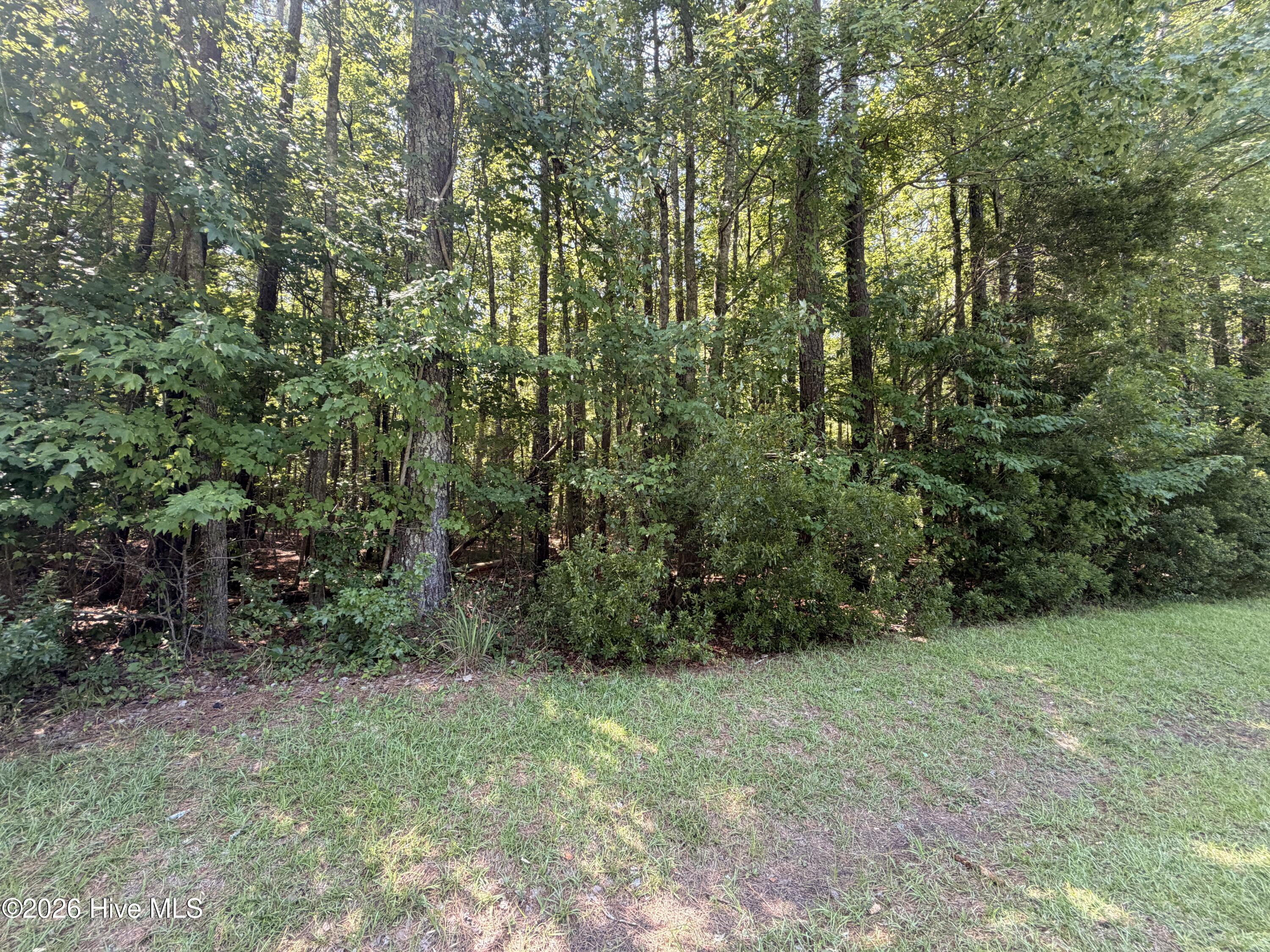 Homes for sale in Blounts Creek, NC | Lot 18 Off Sr 1119, Blounts Creek, NC 27814 | MLS# 100588134