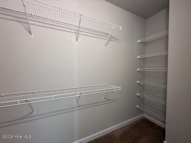 100539065 | Photo 59