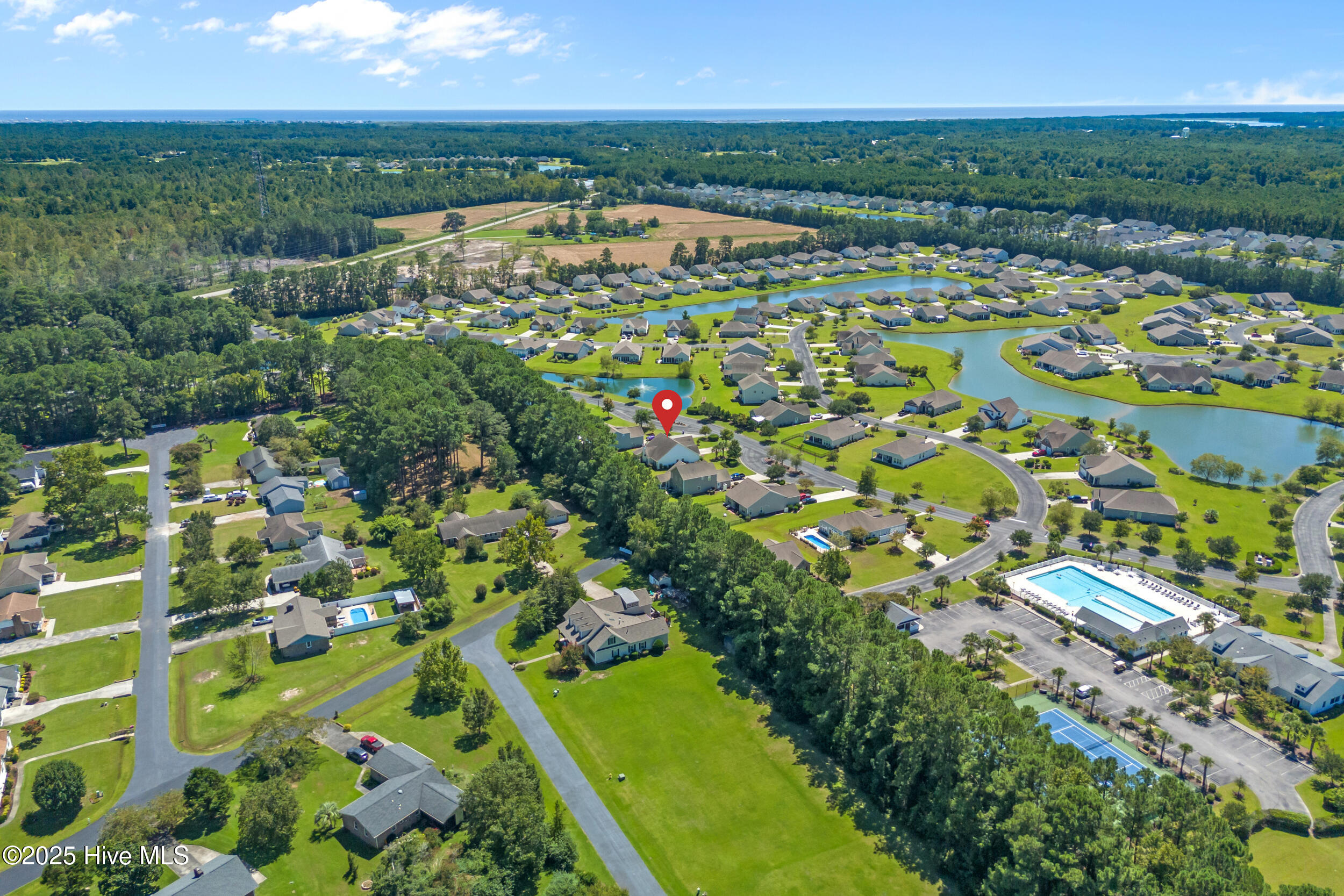 100529171 | Photo 34