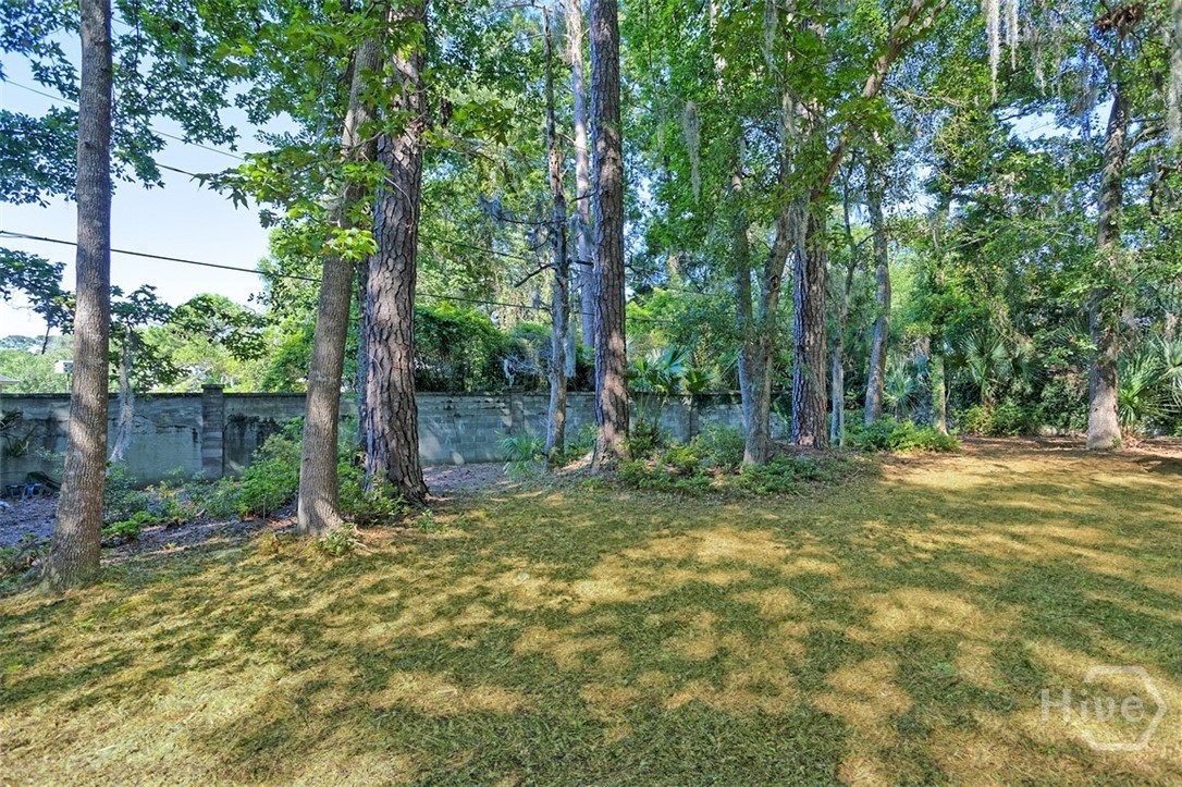 GRASS ENHANCED BACKYARD