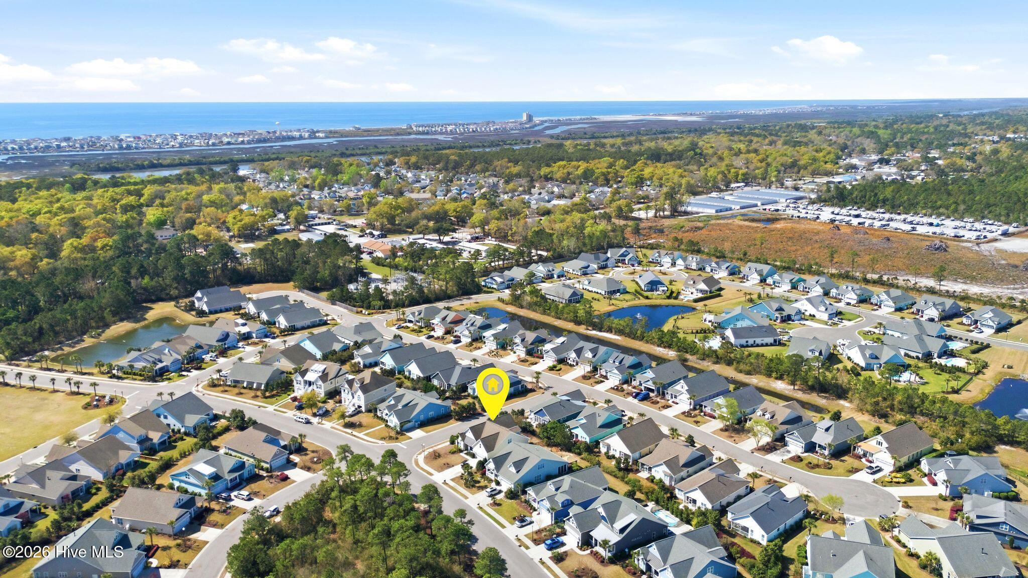 100564306 | Photo 51