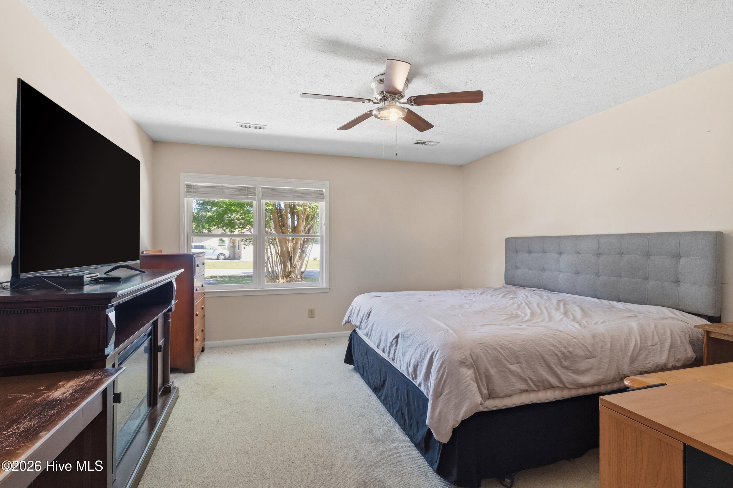 100568035 | Photo 17