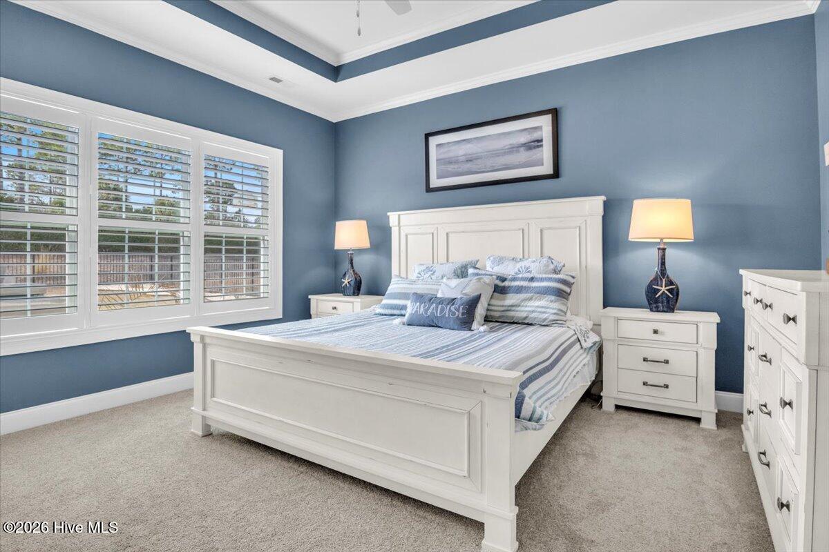 100556210 | Photo 25