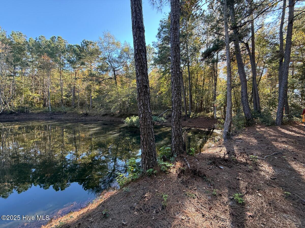 100540348 | Photo 24