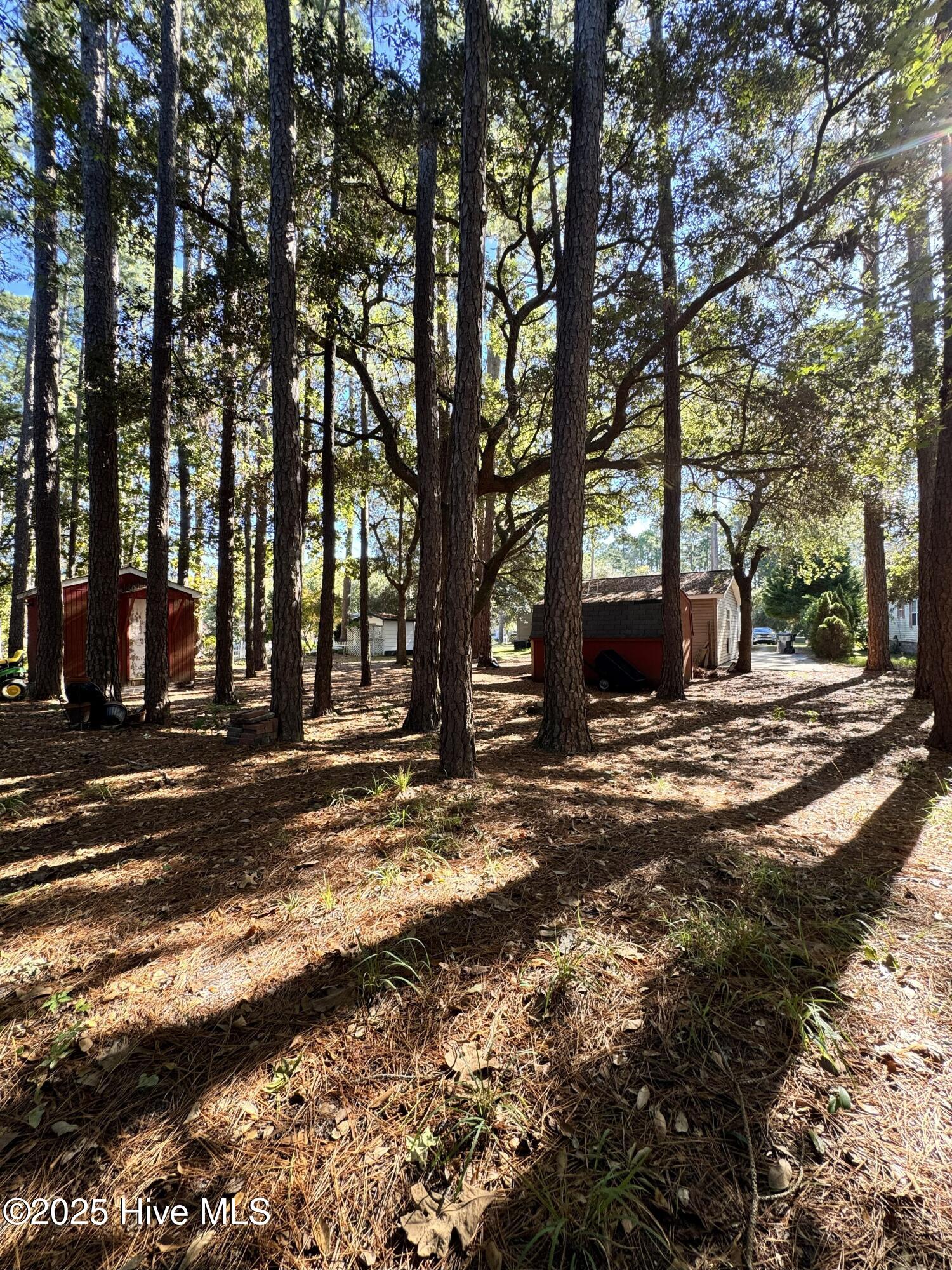 100538236 | Photo 72