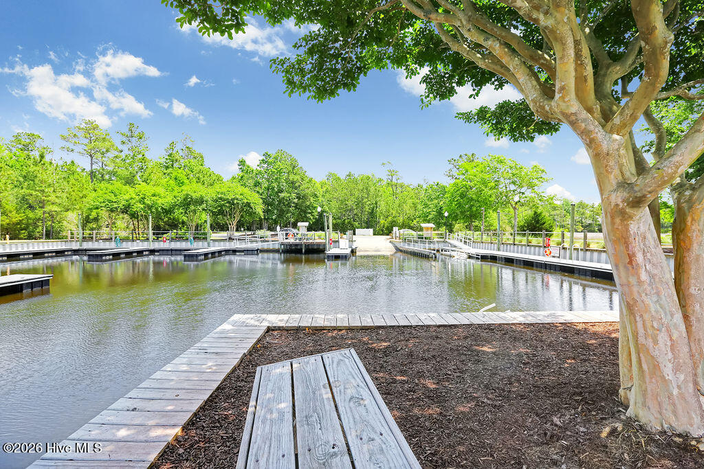 100557018 | Photo 101