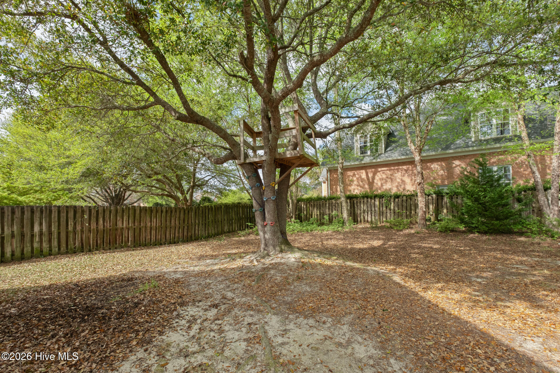 100564524 | Photo 57