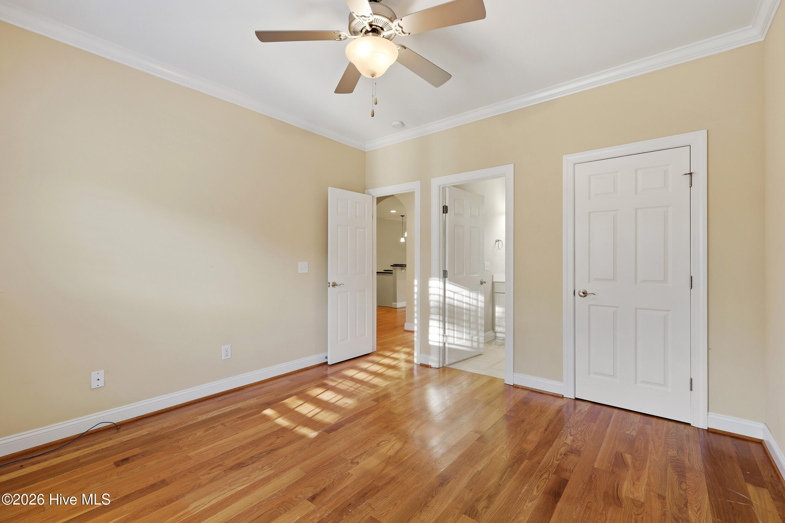 100567096 | Photo 47