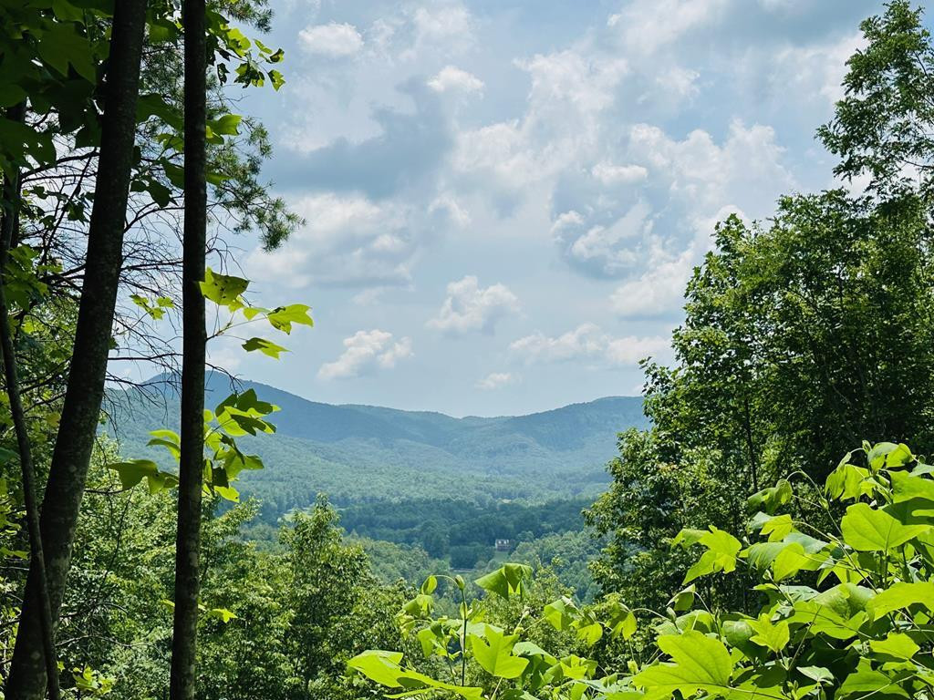 Lot 13 13 View Ridge Trail