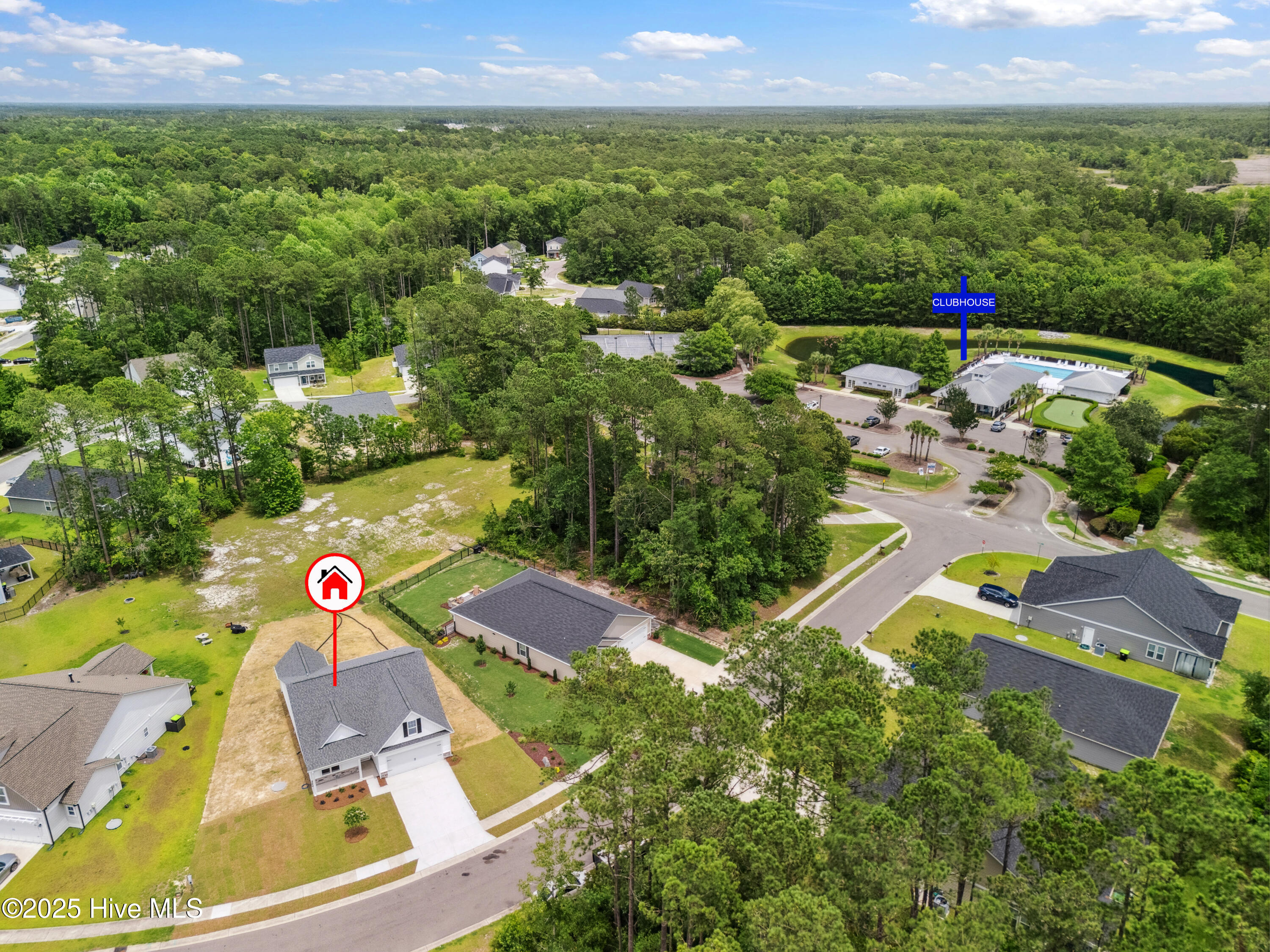 100485279 | Photo 37