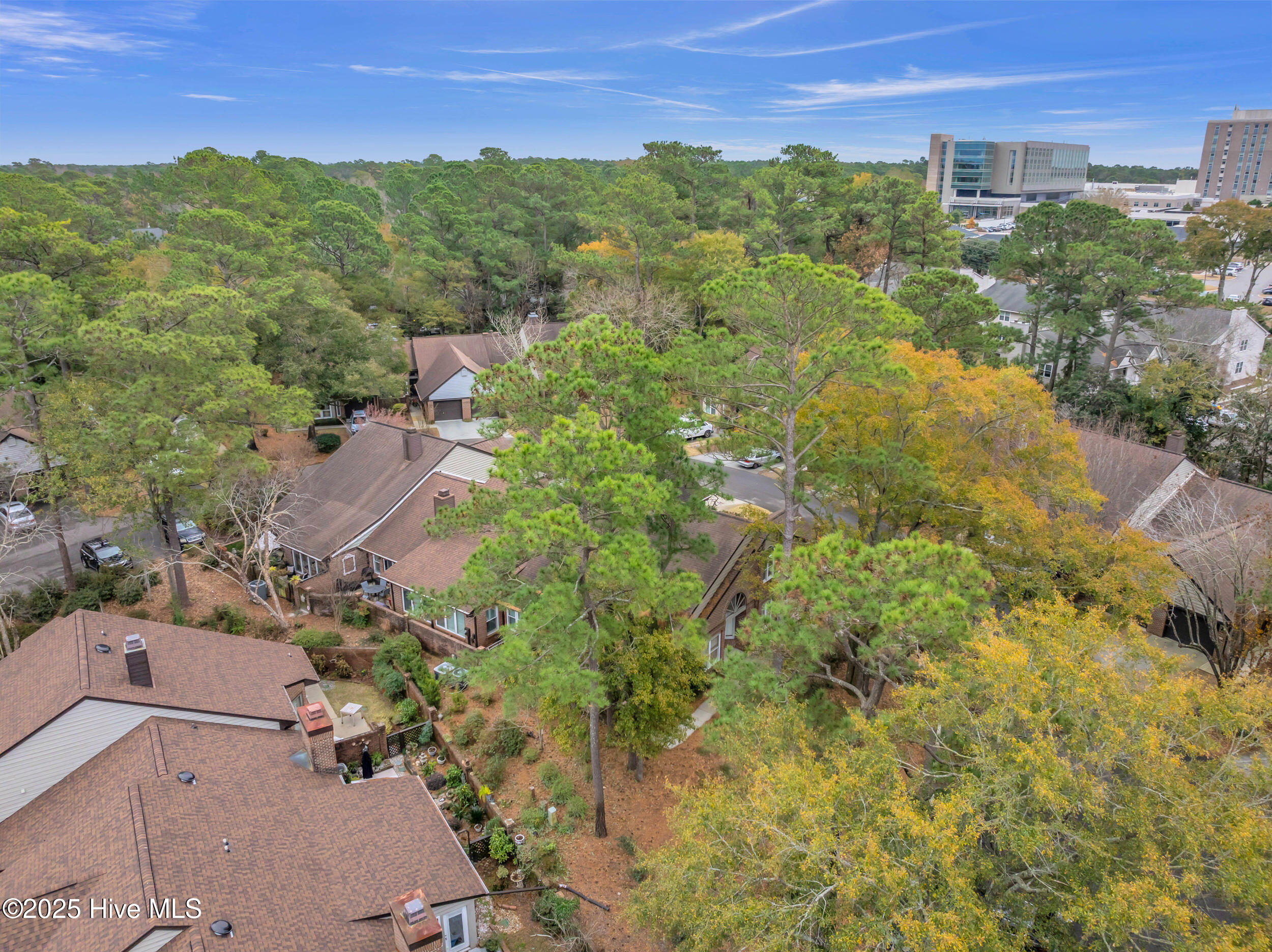 100546535 | Photo 47