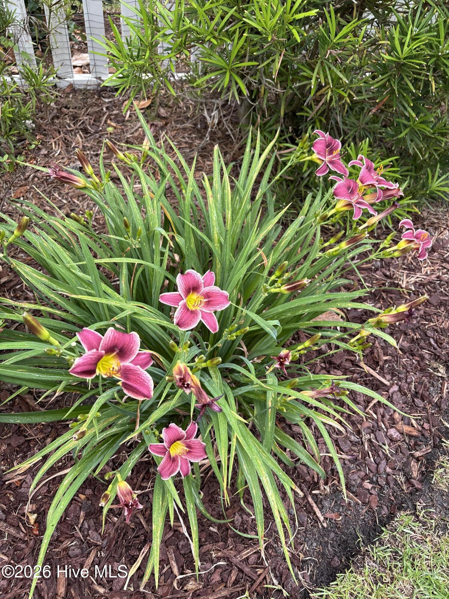 100553841 | Photo 61