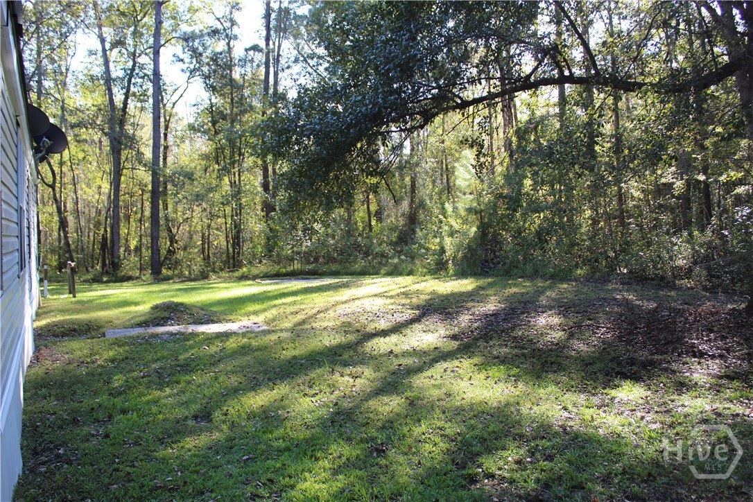 2525 Cartertown Road, Richmond Hill, GA, 00000