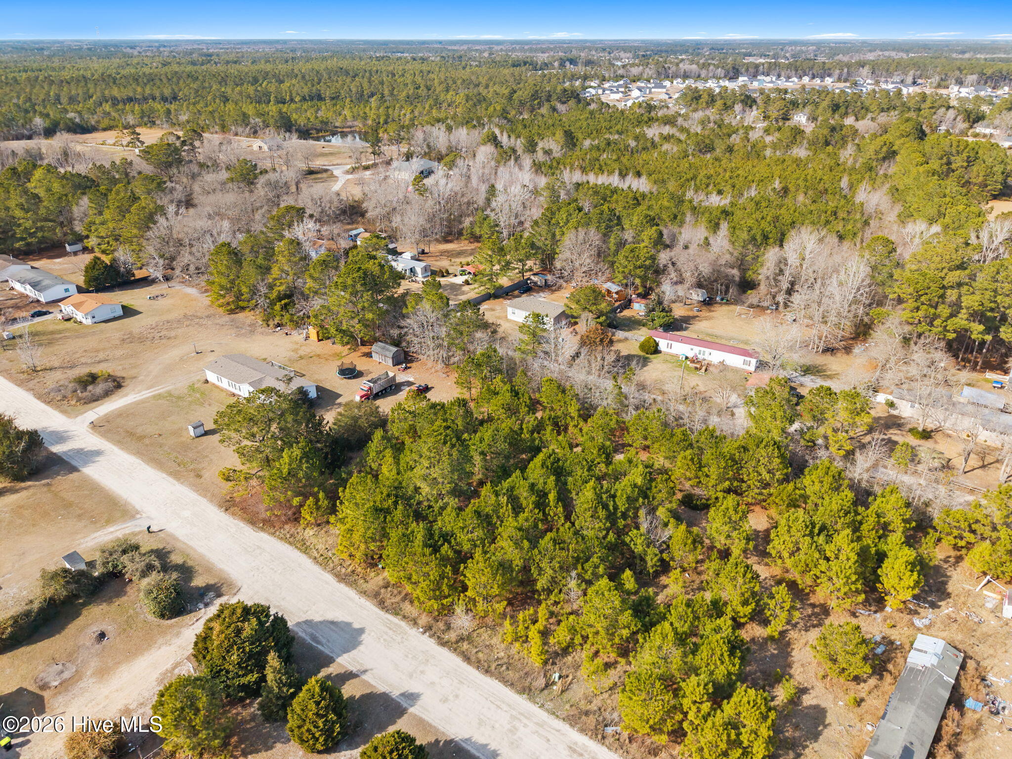 100557084 | Photo 14