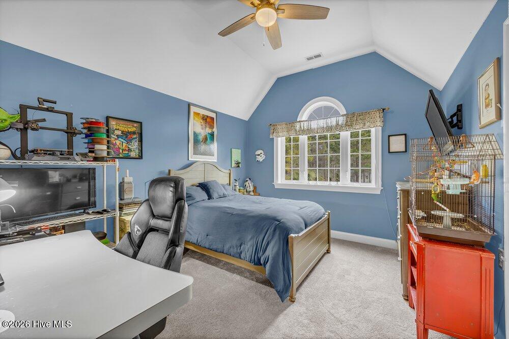 100552674 | Photo 19