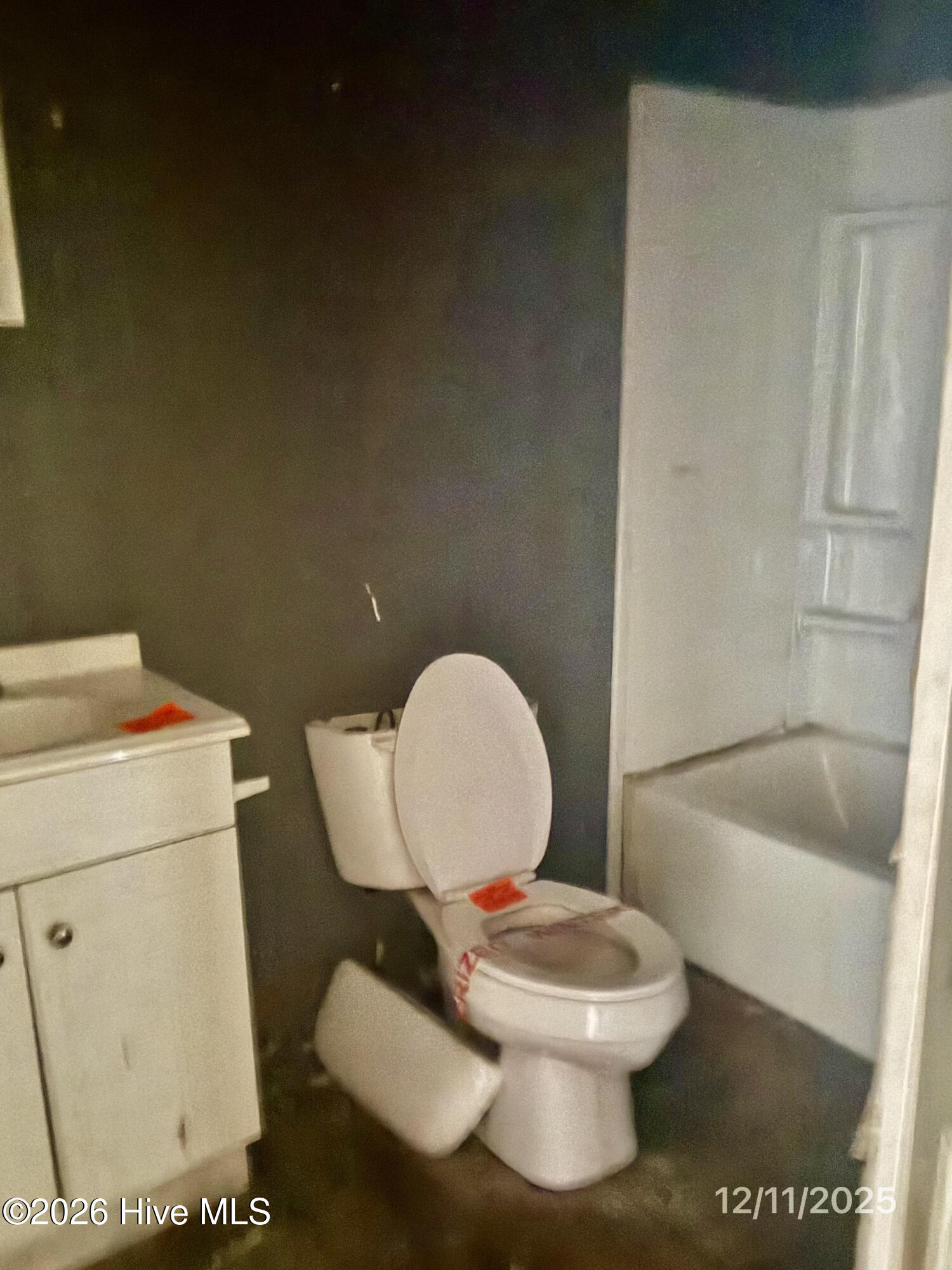 100547462 | Photo 10