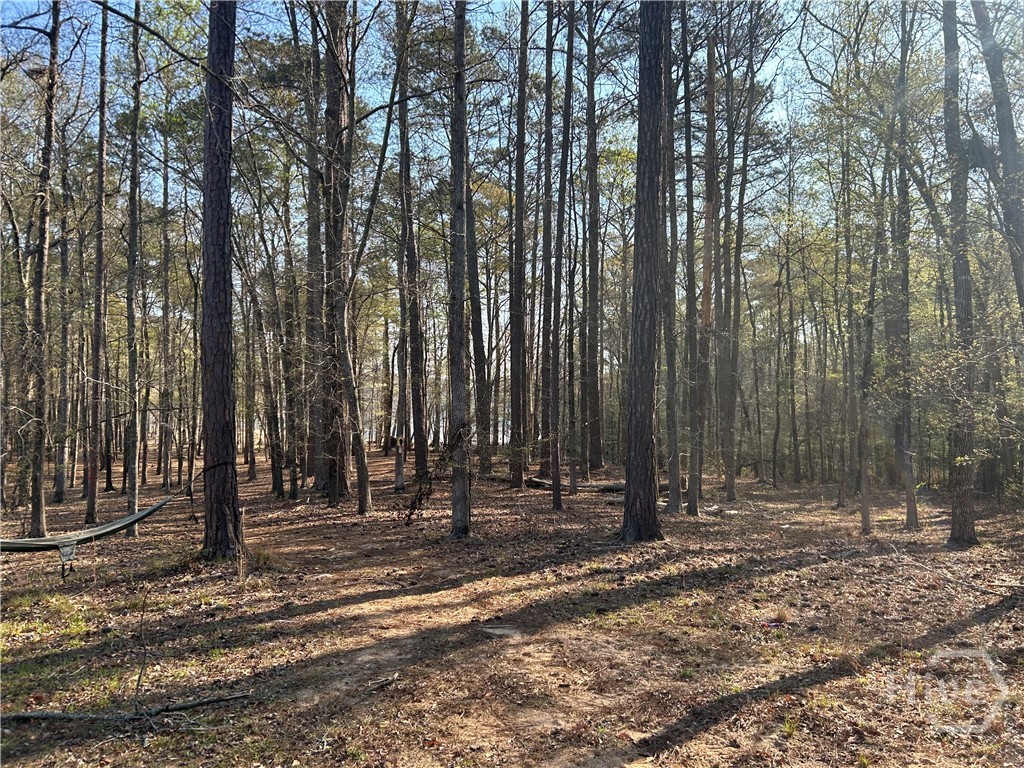 1697 Broad River Scenic Drive, Tignall, GA 30668 Listing Photo  9