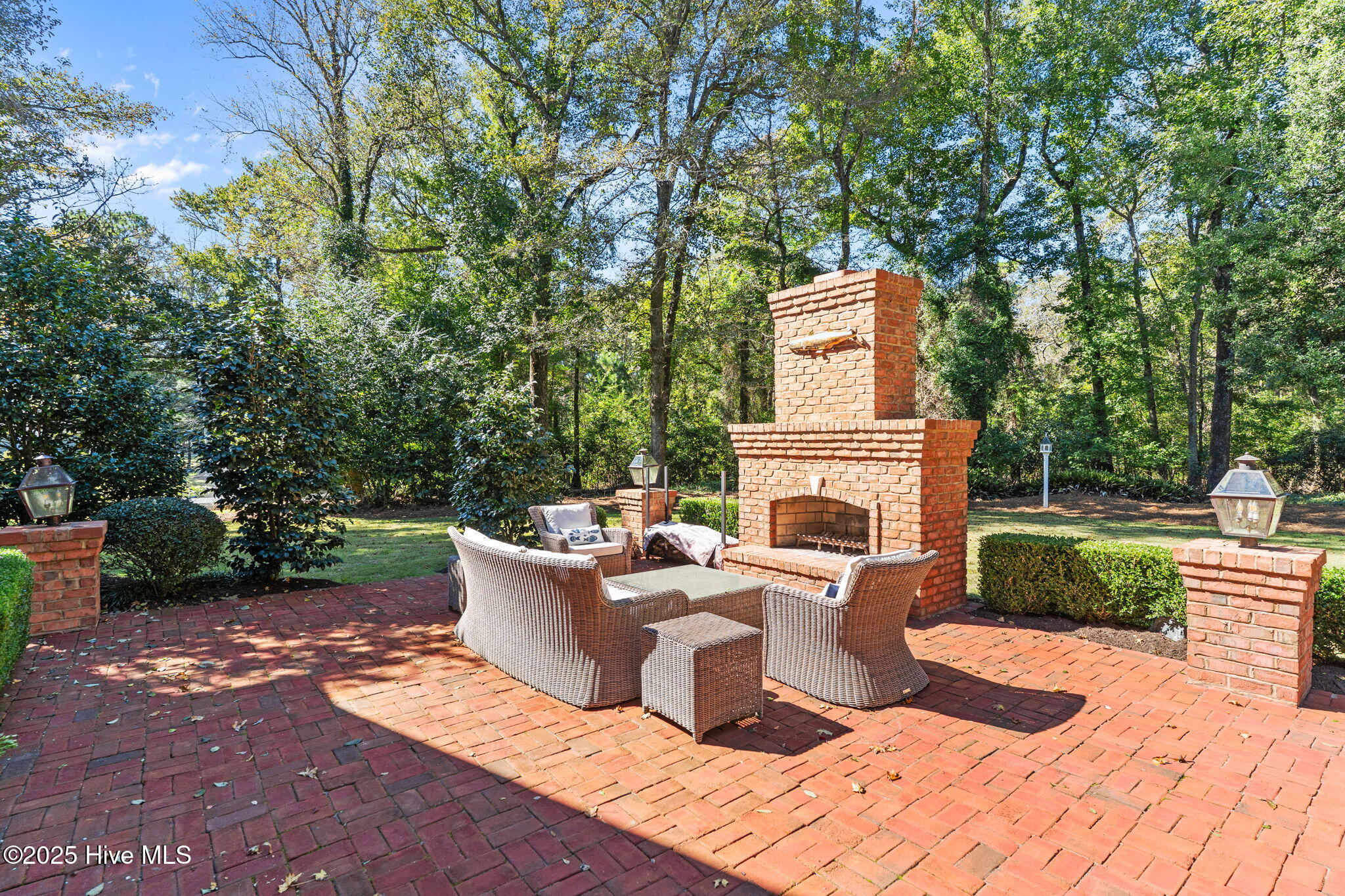 100537269 | Photo 11