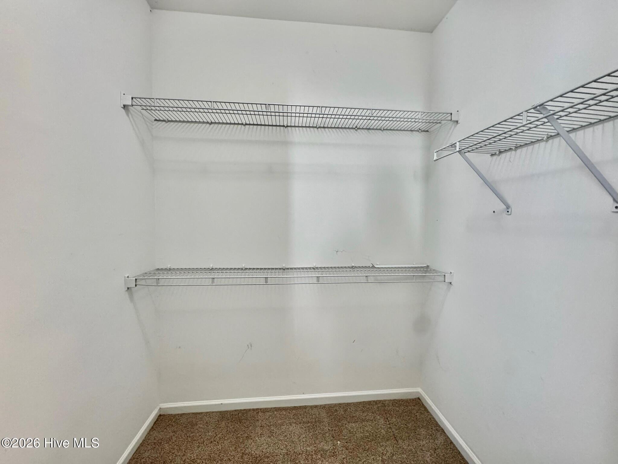 100554520 | Photo 18