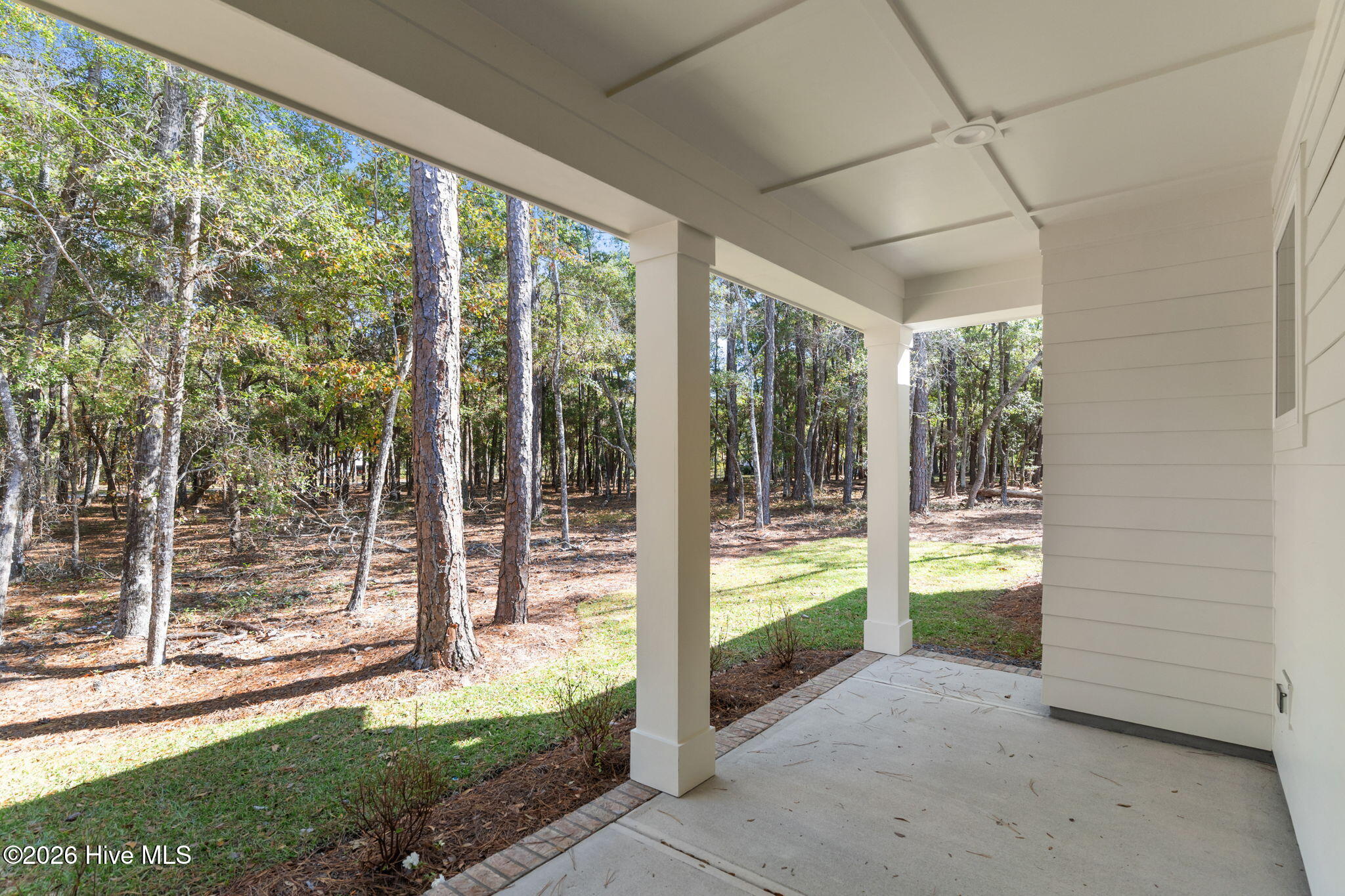 100548925 | Photo 51