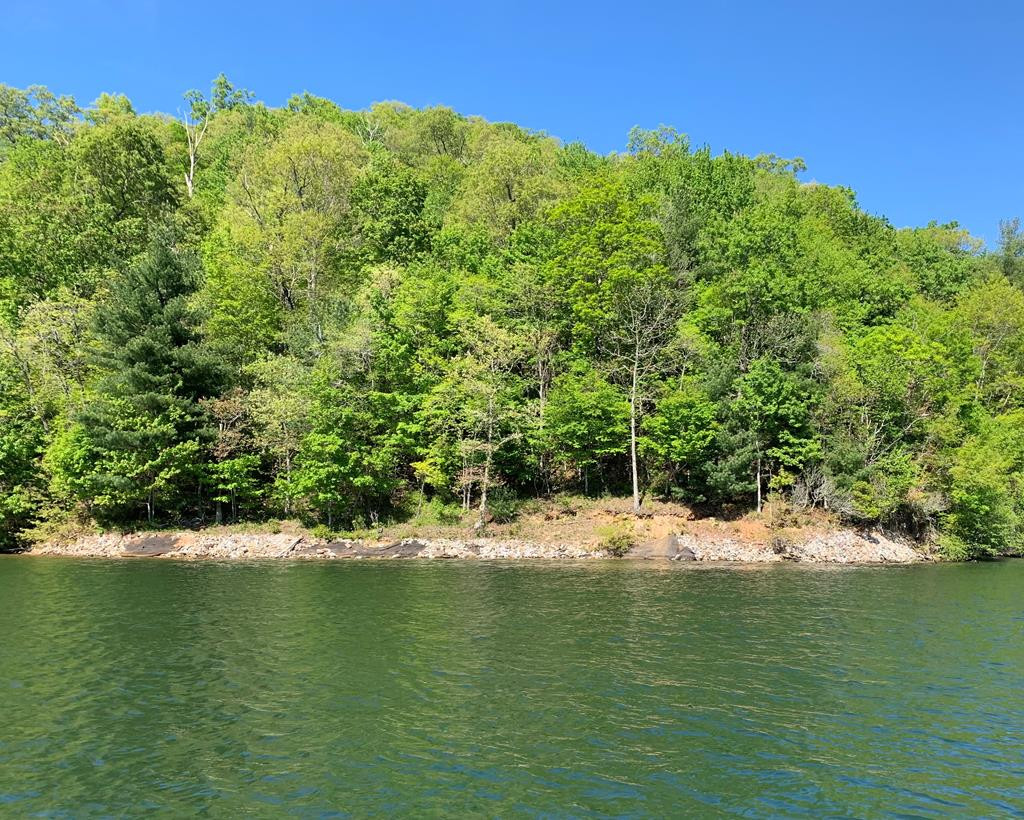 Homes for sale in Nantahala, NC | Lot# 28 Lakeshore Dr, Nantahala, NC 28781 | MLS# 98544230