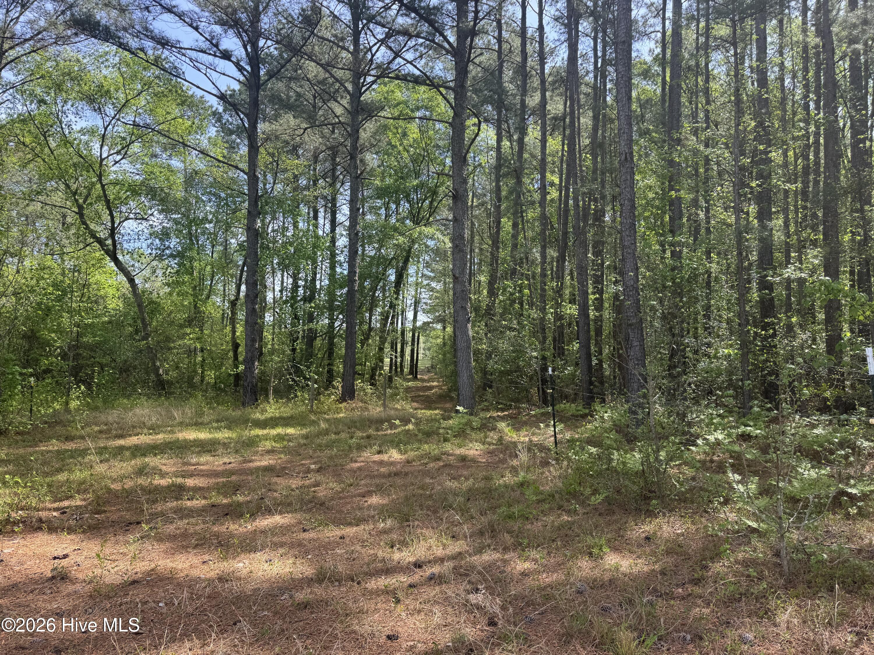 490 Springhill Church Road, Hamlet, NC, 28345