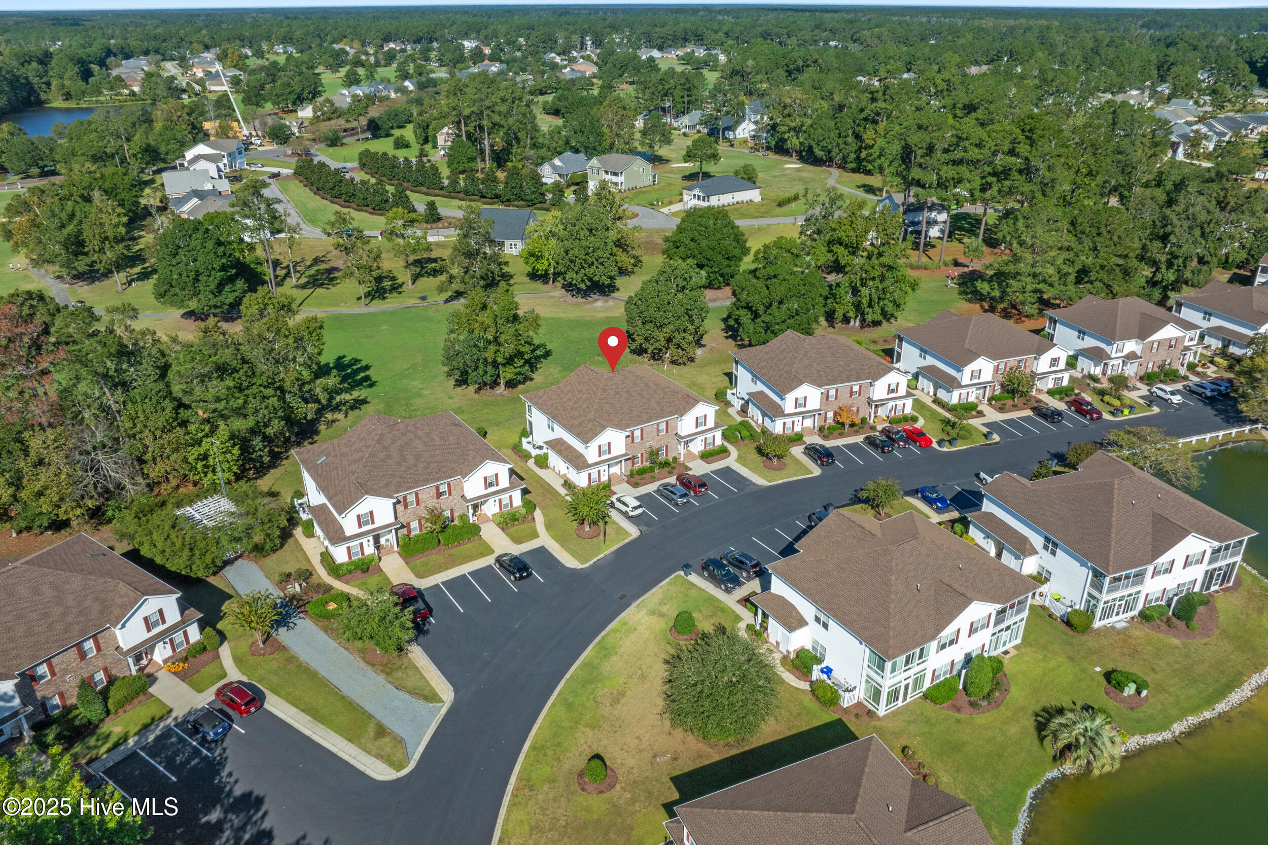 100536950 | Photo 35