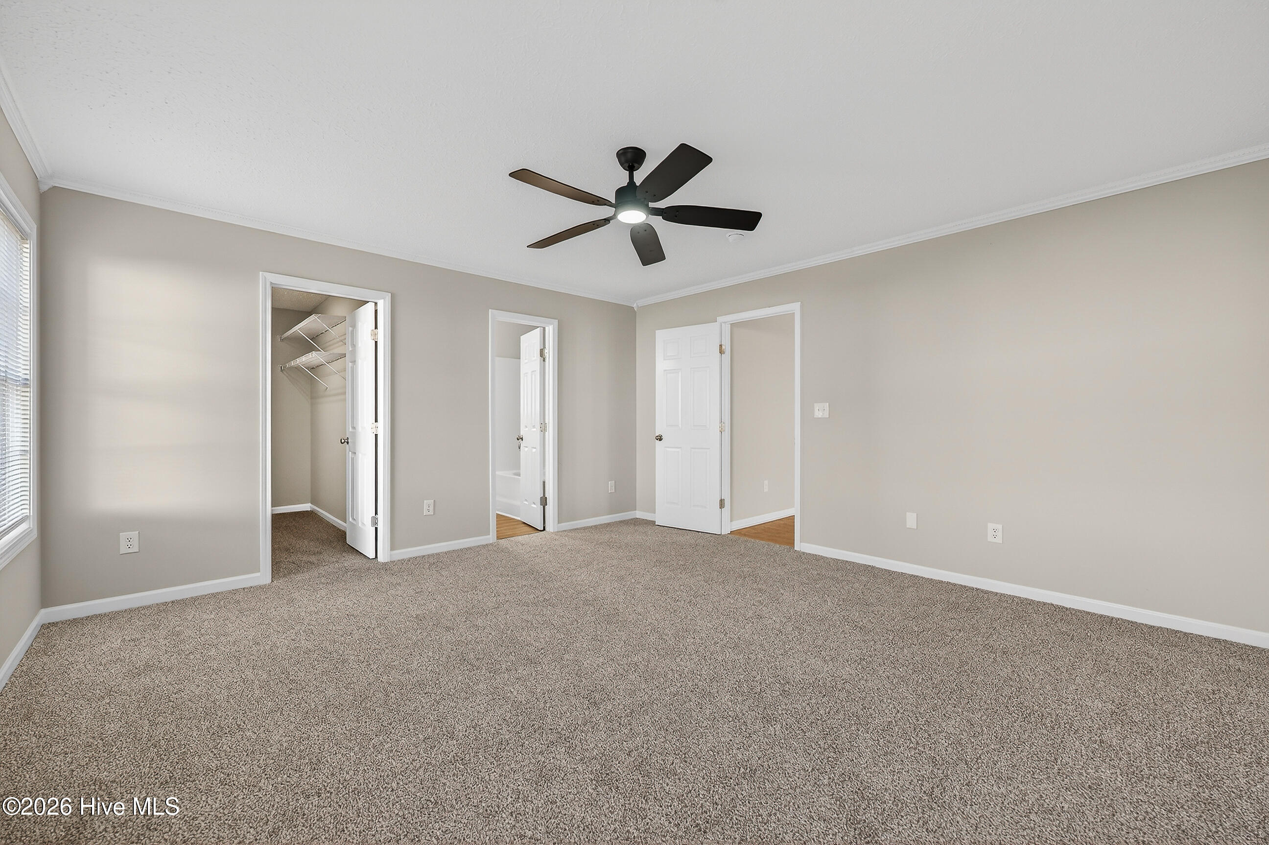 100552095 | Photo 16