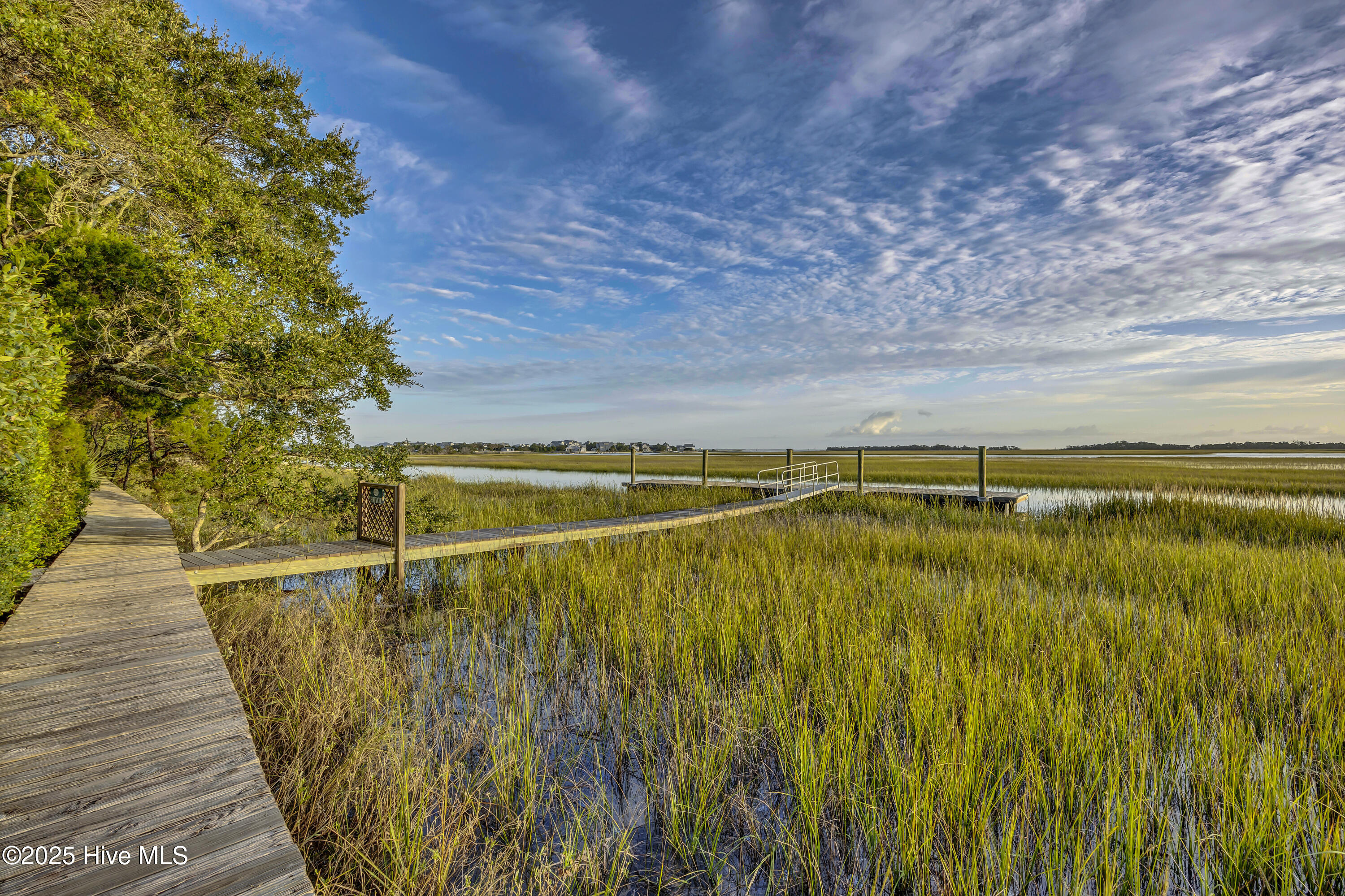 100534977 | Photo 50