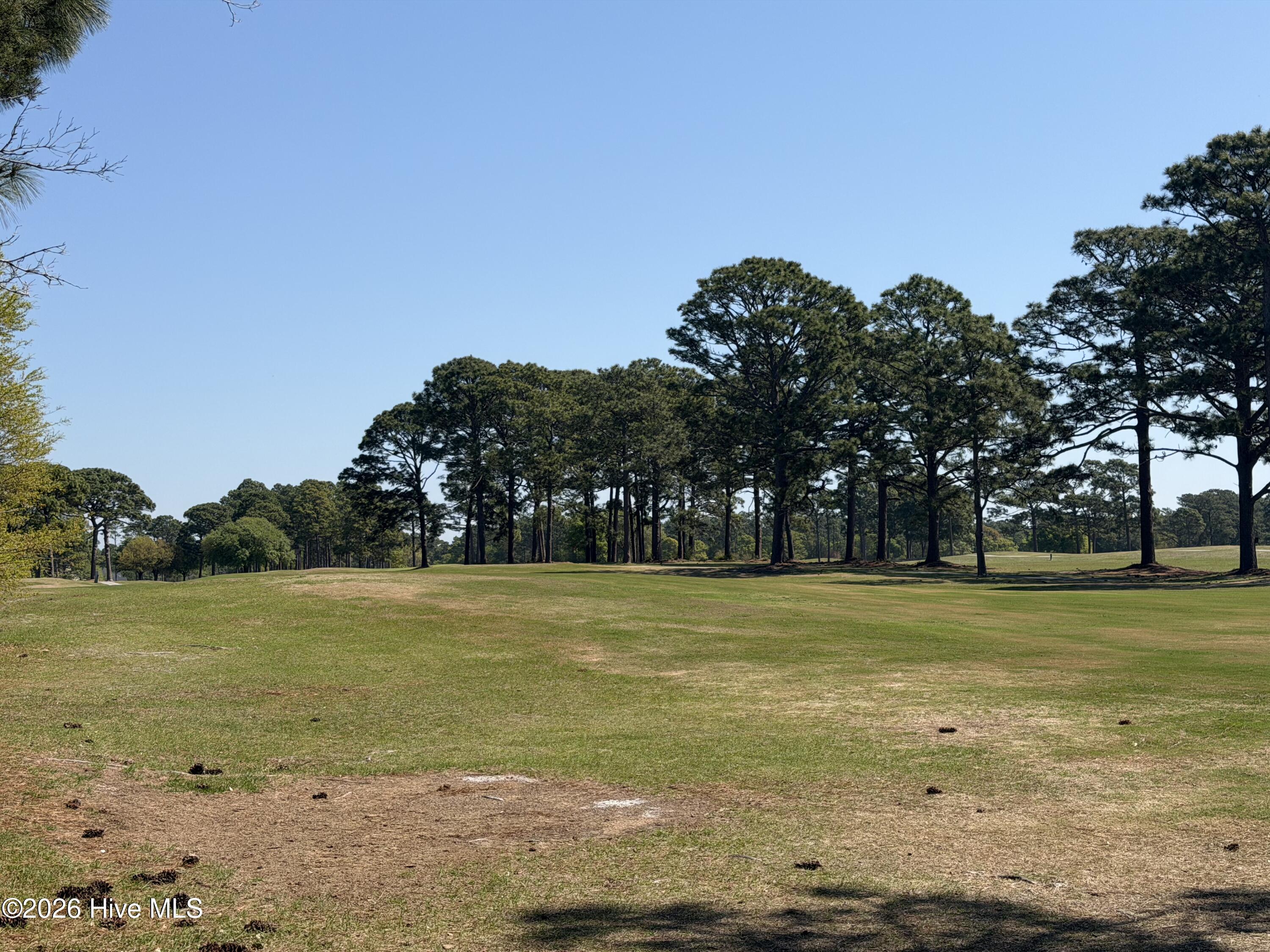 100568393 | Photo 23