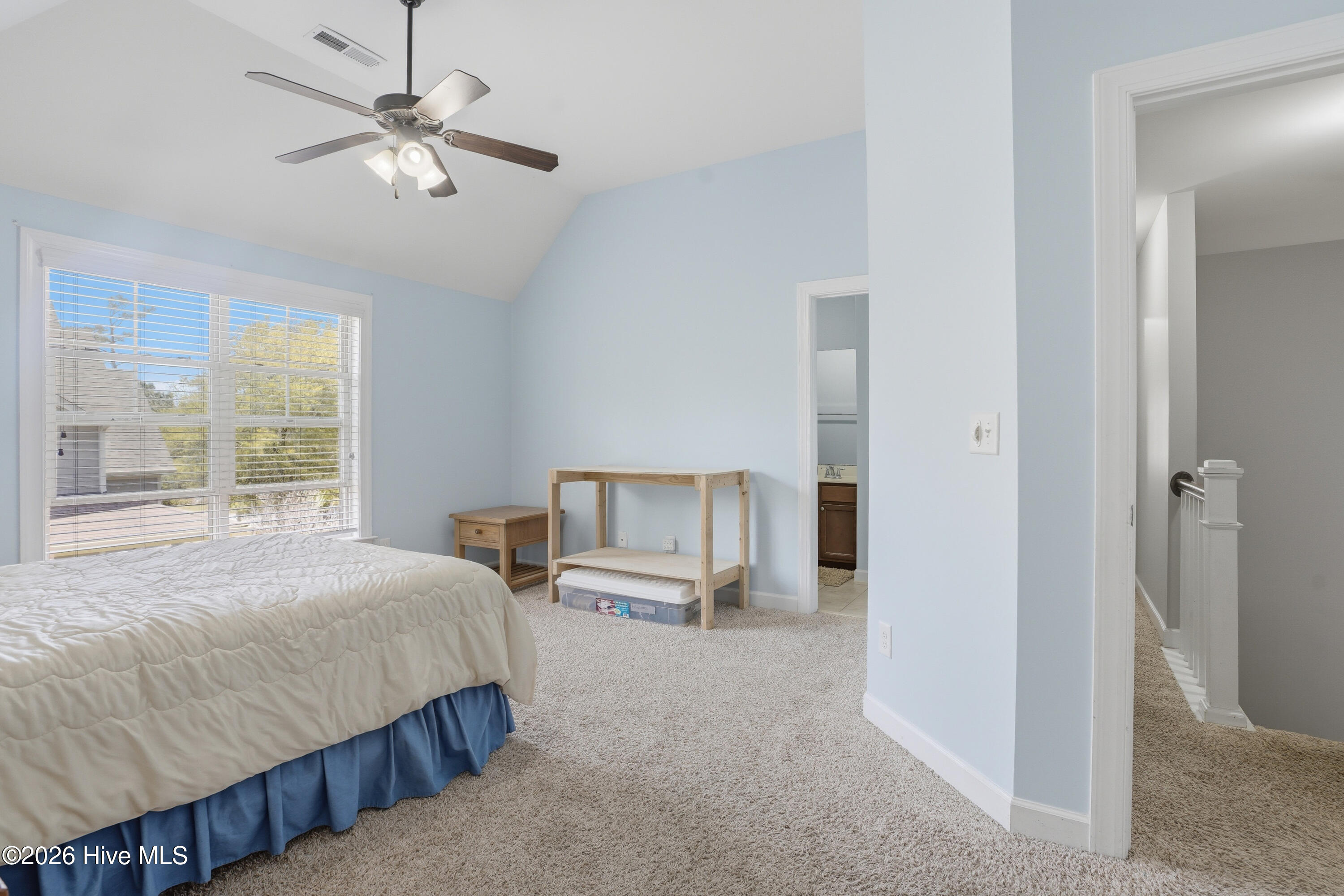 100564087 | Photo 32