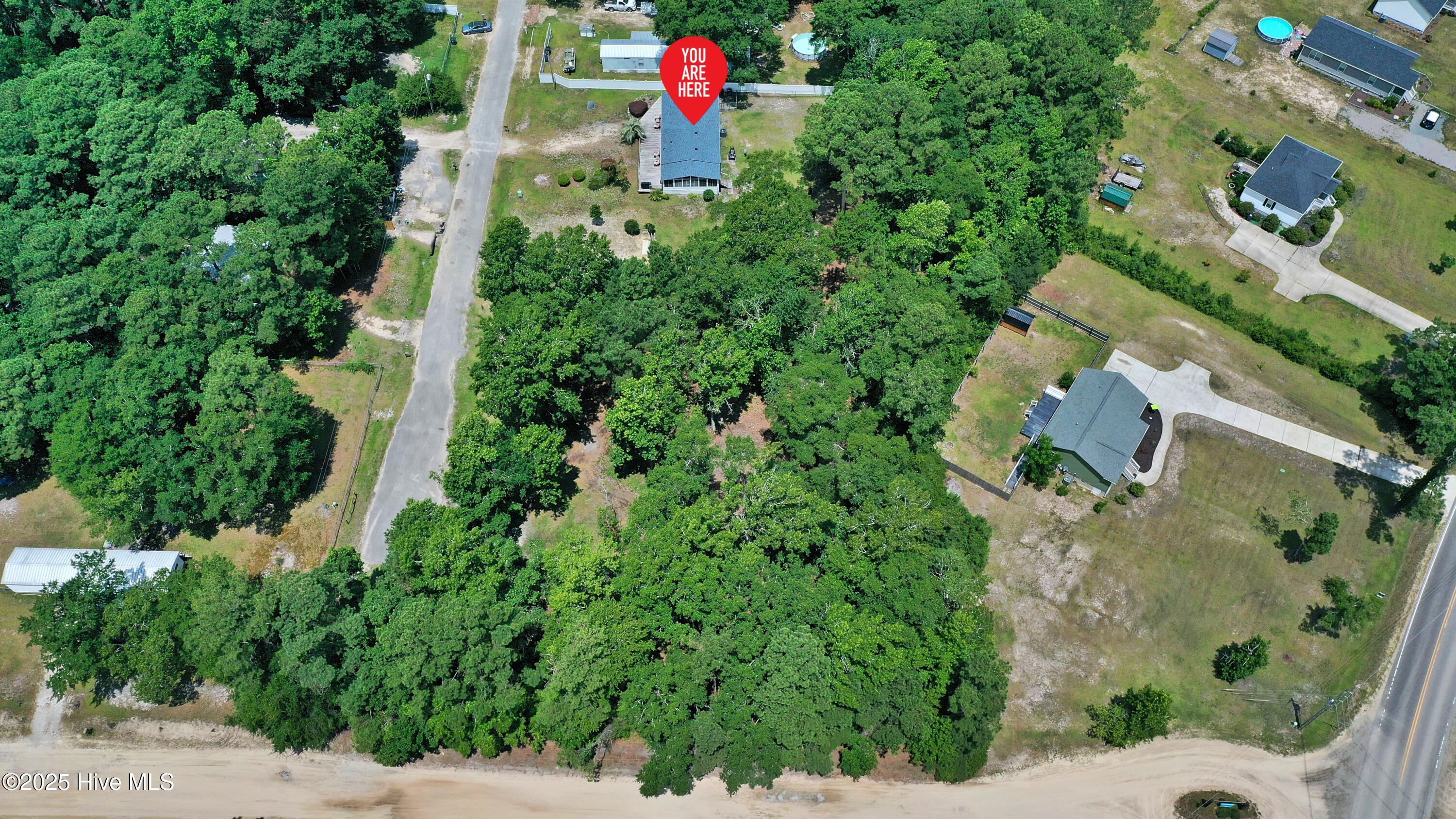 100517684 | Photo 50