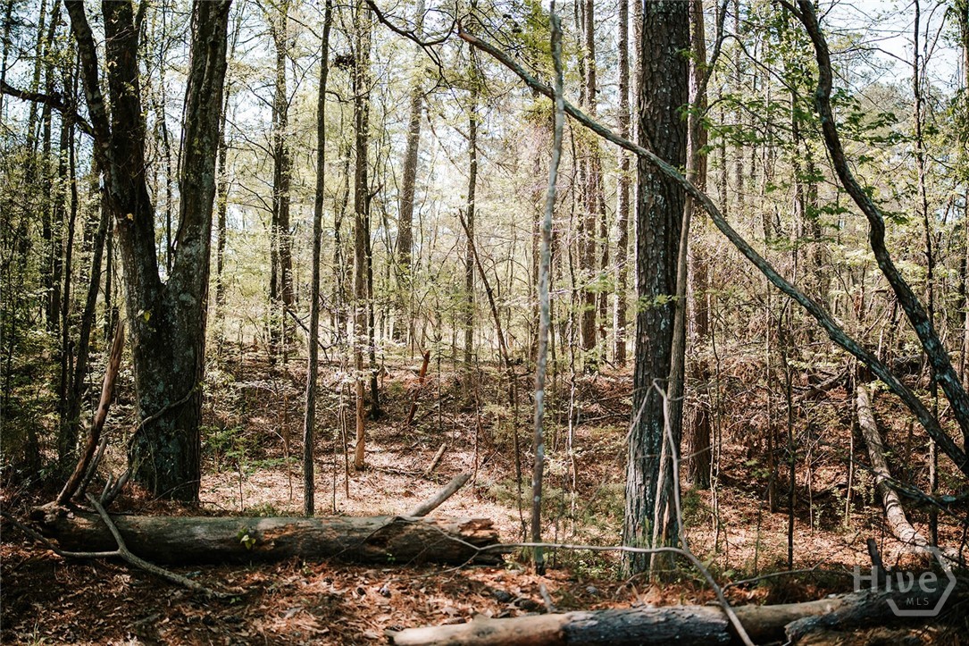 000 Union Point Road, Stephens, GA, 30667