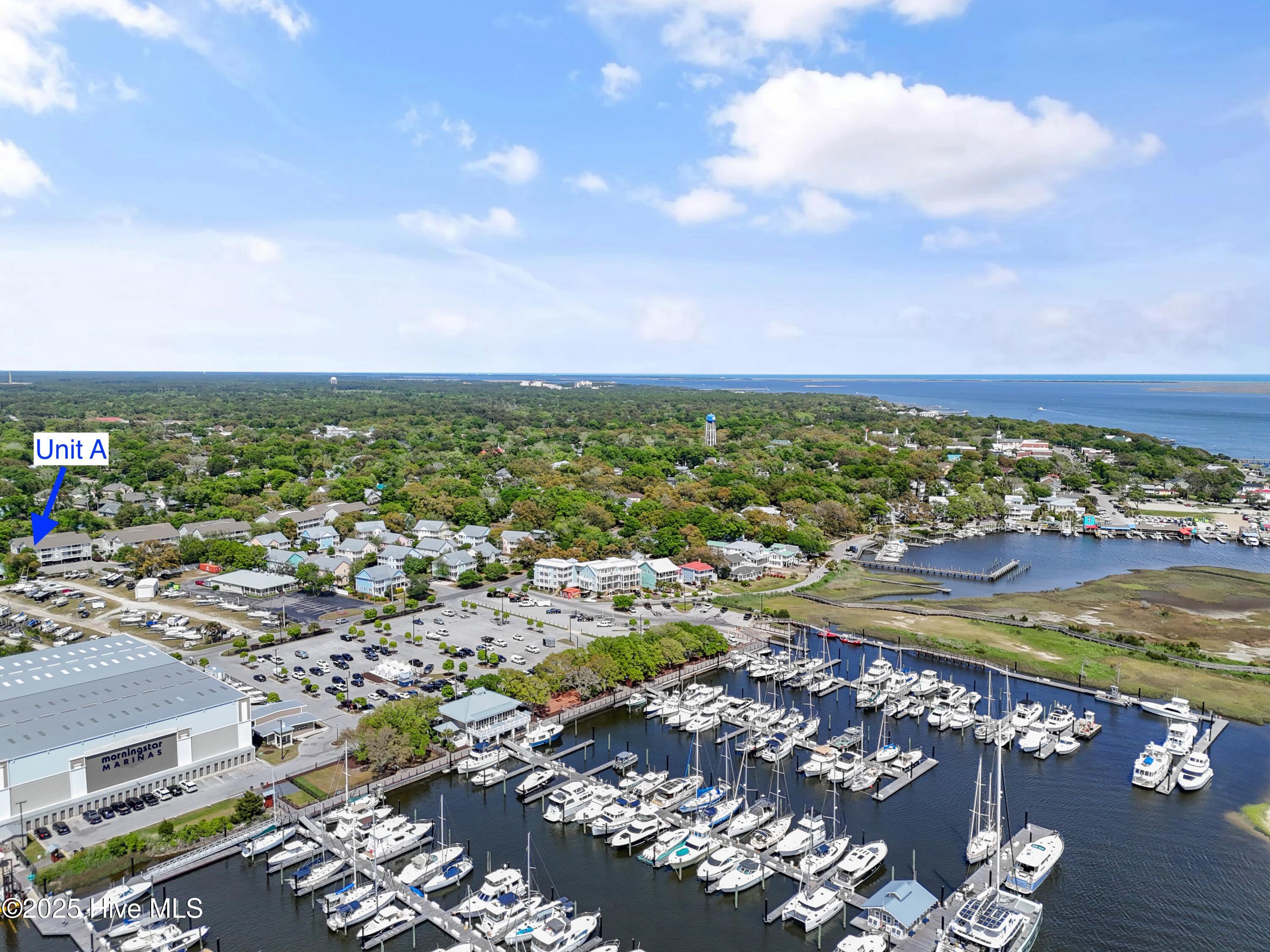 100502983 | Photo 42