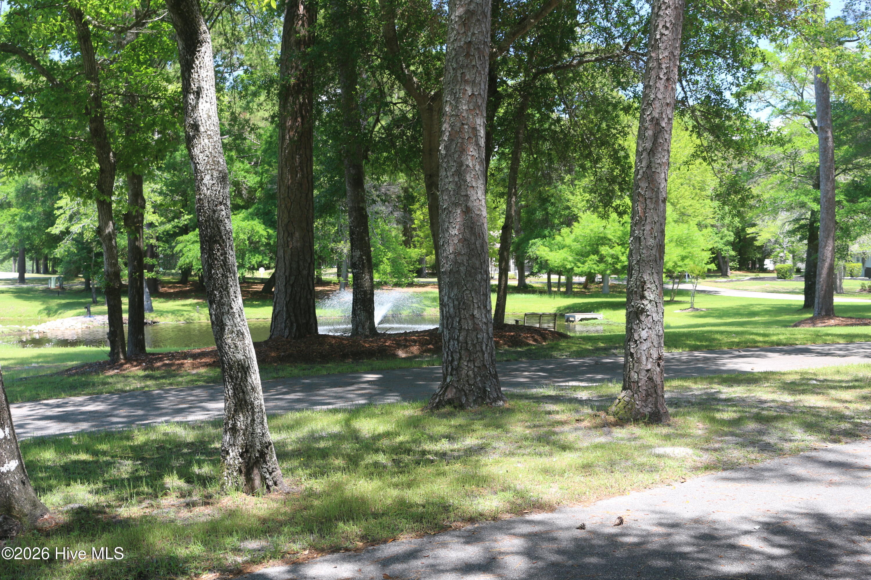 100566261 | Photo 12