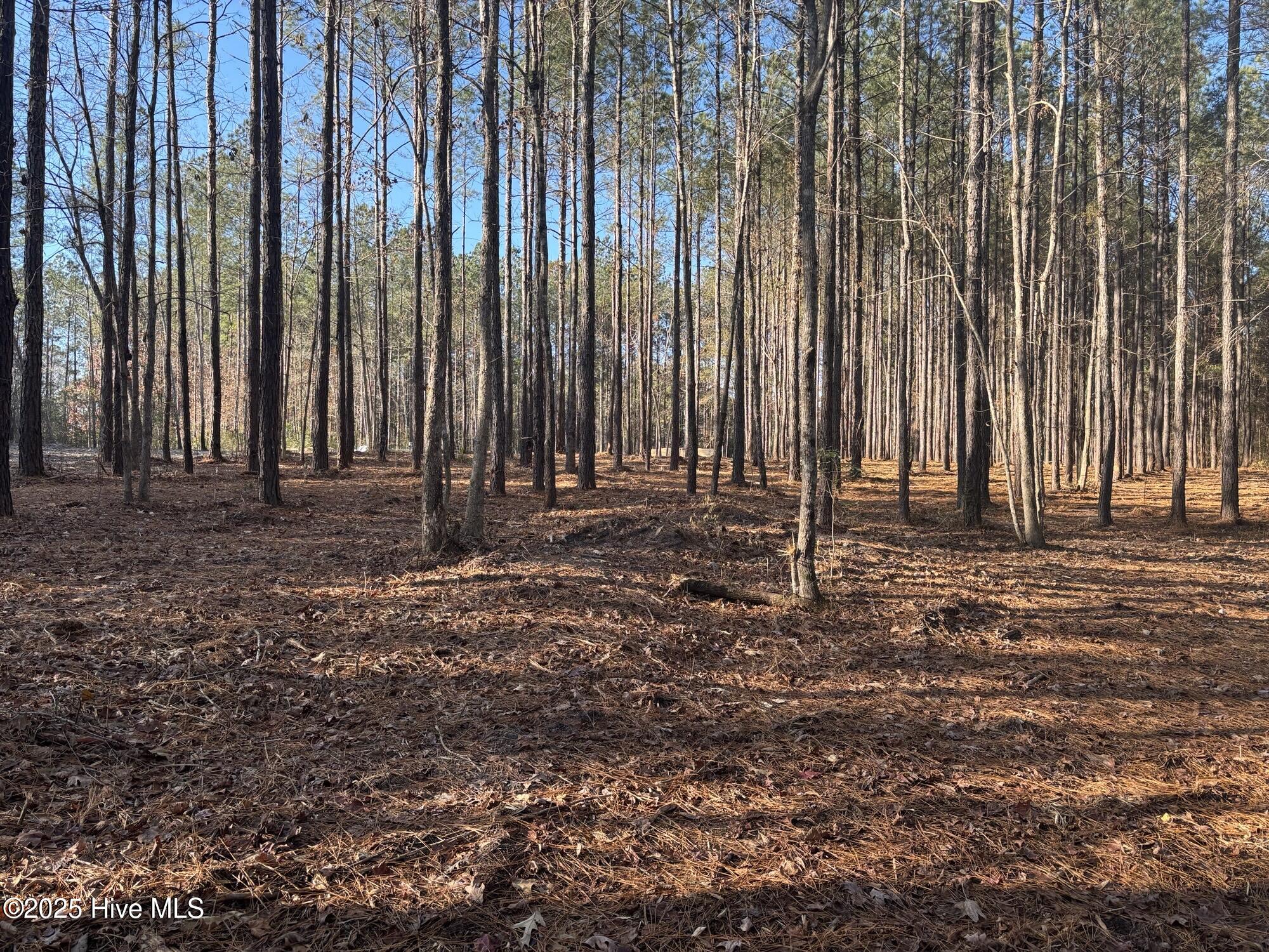 3227 Lee Landing Road, New Bern, NC, 28560