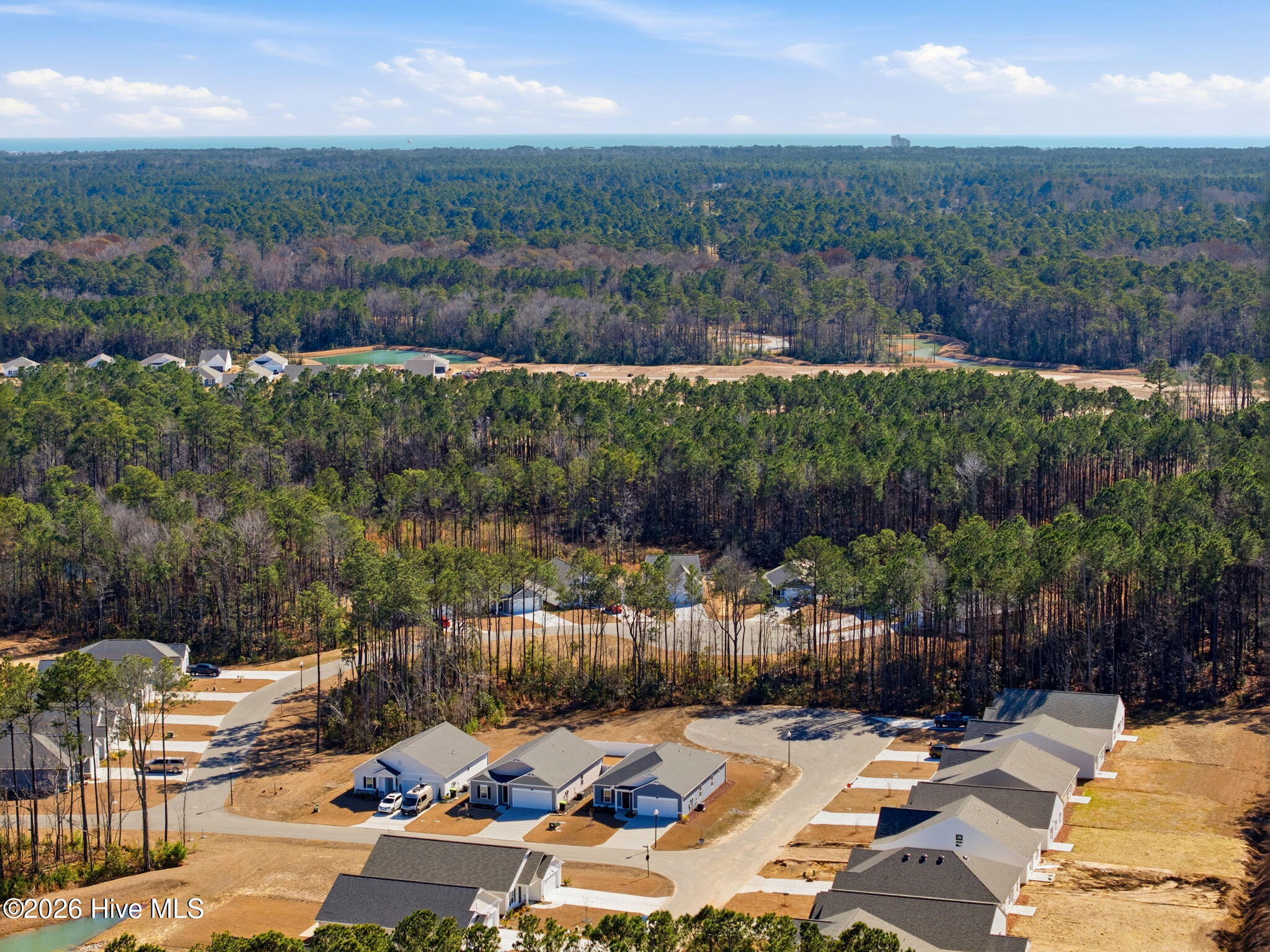 100554618 | Photo 10