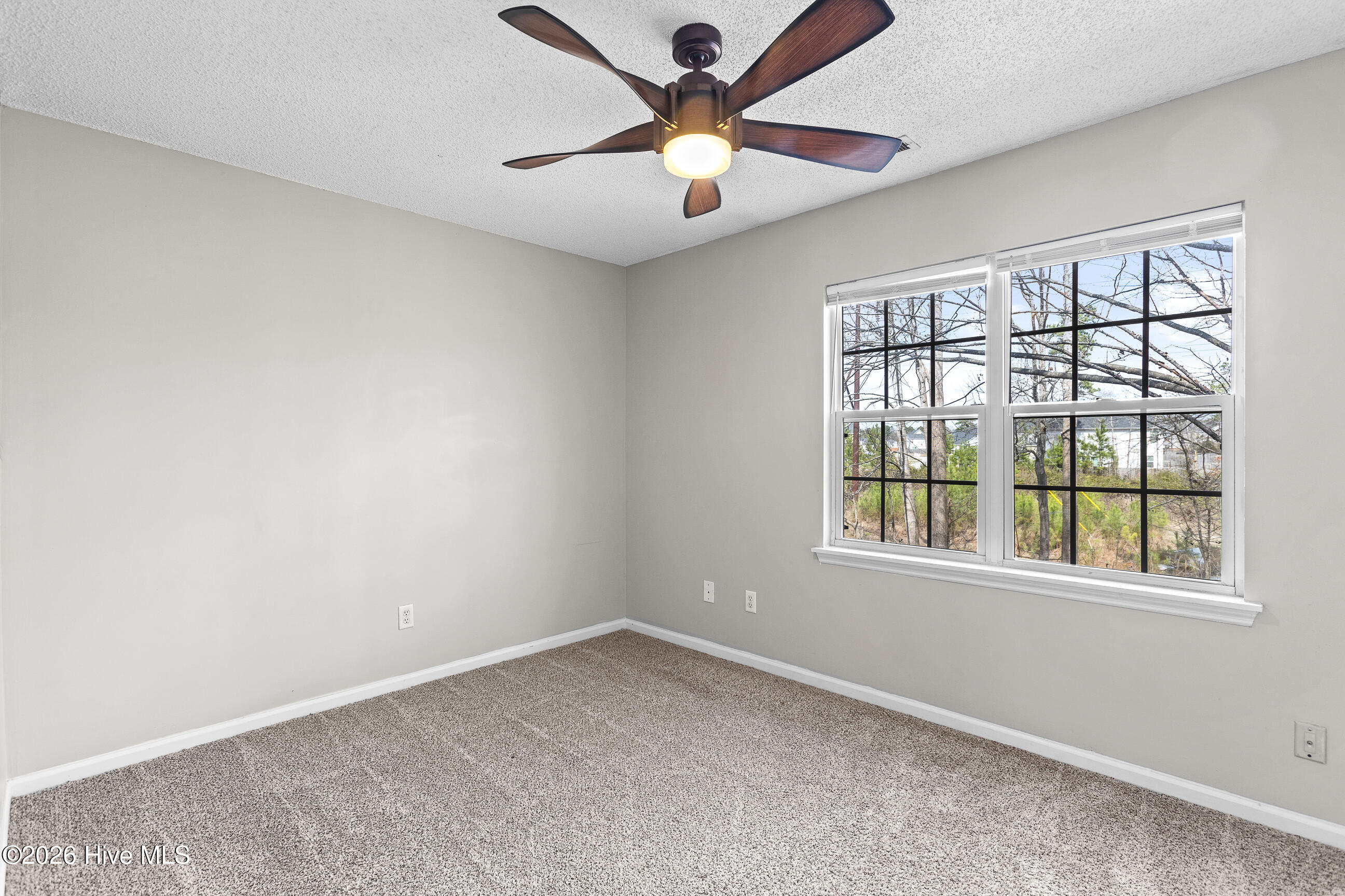 100558905 | Photo 16