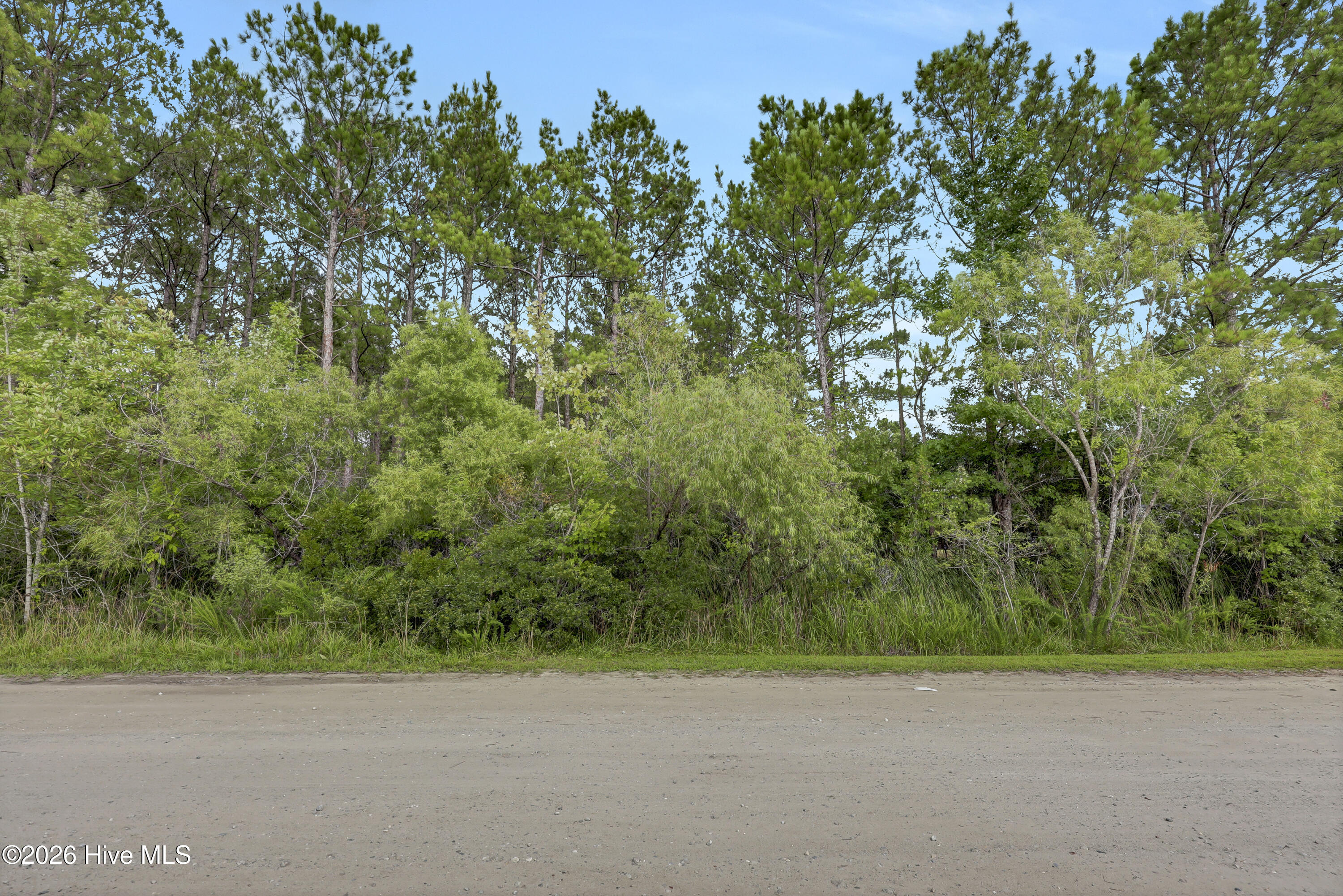 100590200 | Photo 22