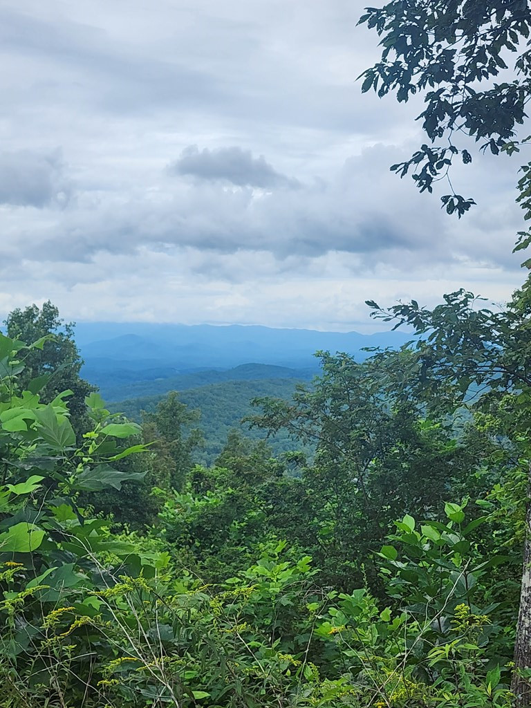 Potential View
