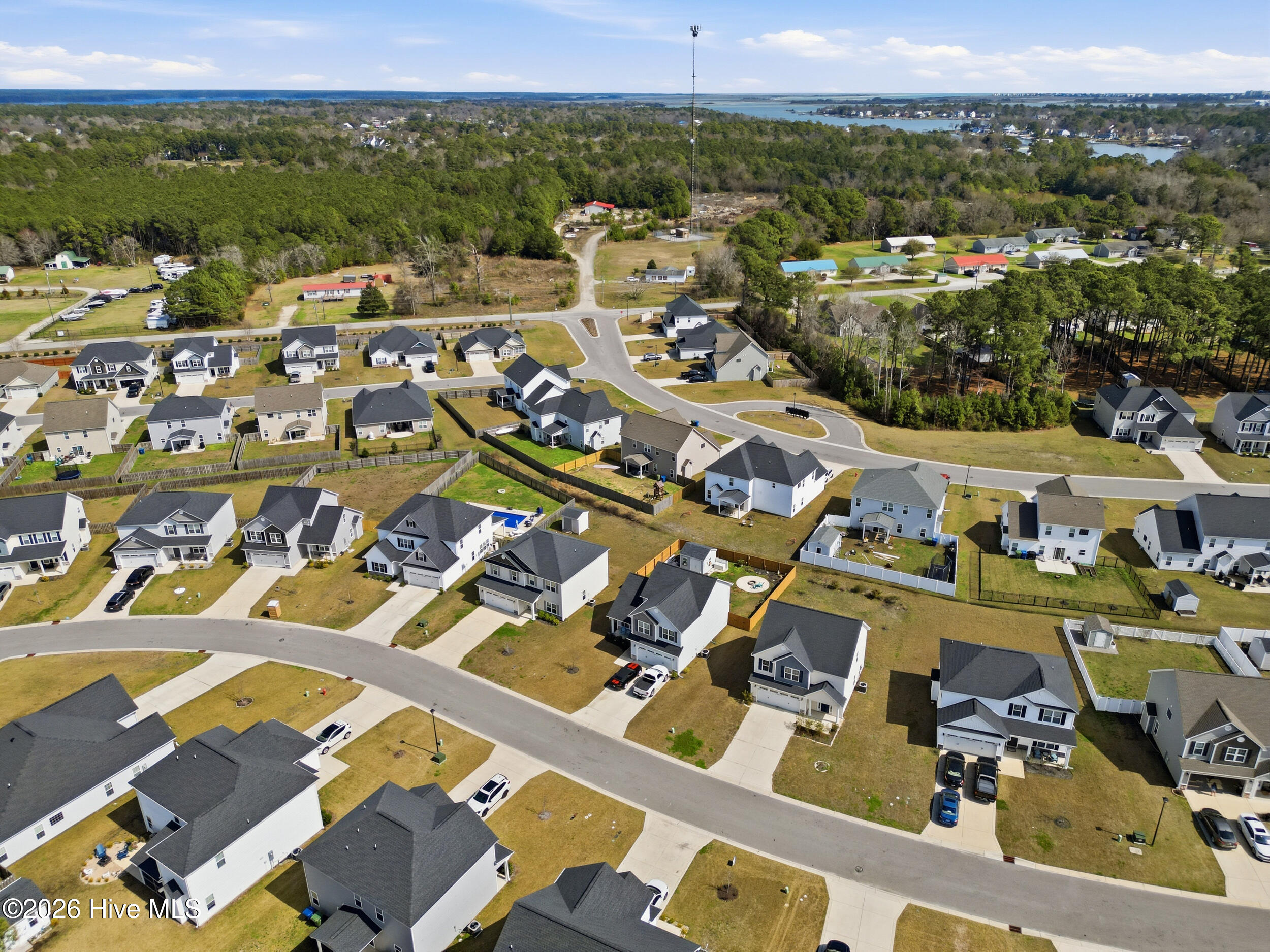 100559479 | Photo 41